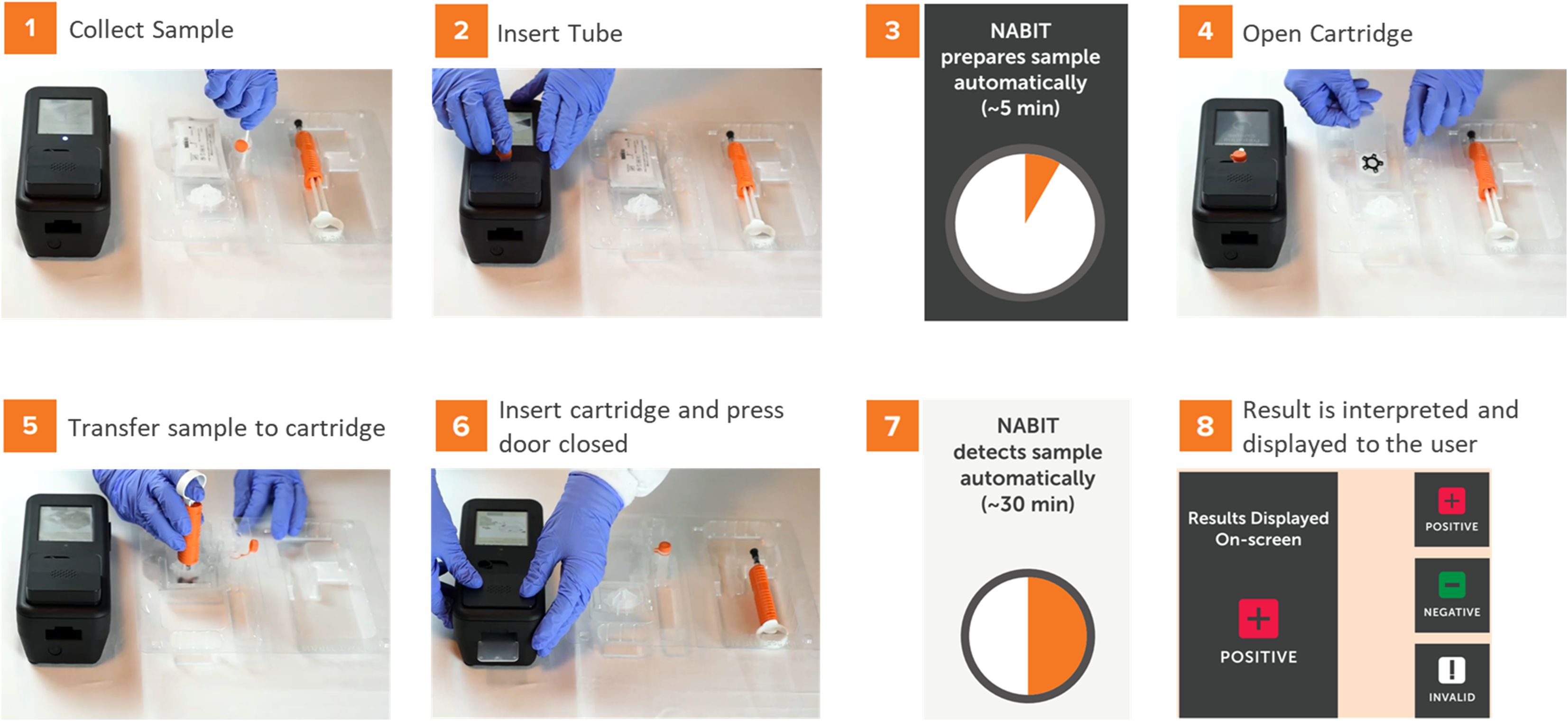 A step-by-step visual guide for using the NABIT and test kit. Step 1: Collect sample. Step 2: Insert tube into the device. Step 3: NABIT prepares the sample automatically in about five minutes. Step 4: Open the cartridge. Step 5: Transfer the sample to the cartridge. Step 6: Insert the cartridge into the NABIT and close the device door. Step 7: NABIT detects the sample automatically in approximately thirty minutes. Step 8: Results are interpreted and displayed on the NABIT display as positive, negative, or invalid.