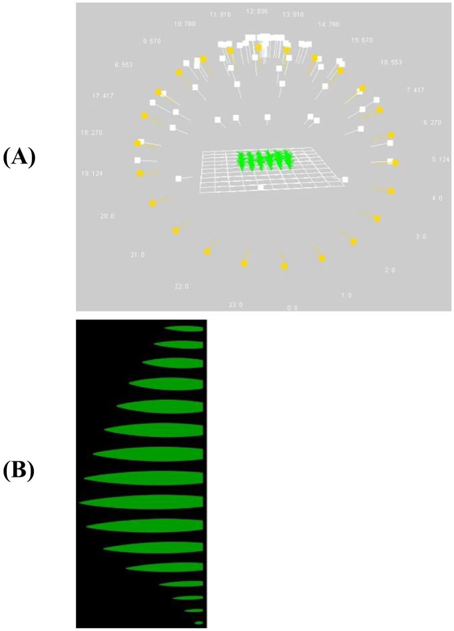 (A) A 3D plot featuring a circular arrangement of yellow and white points with numerical labels, centered around a grid with green spikes. (B) A series of green, leaf-shaped forms displayed vertically on a black background, decreasing in size from top to bottom.