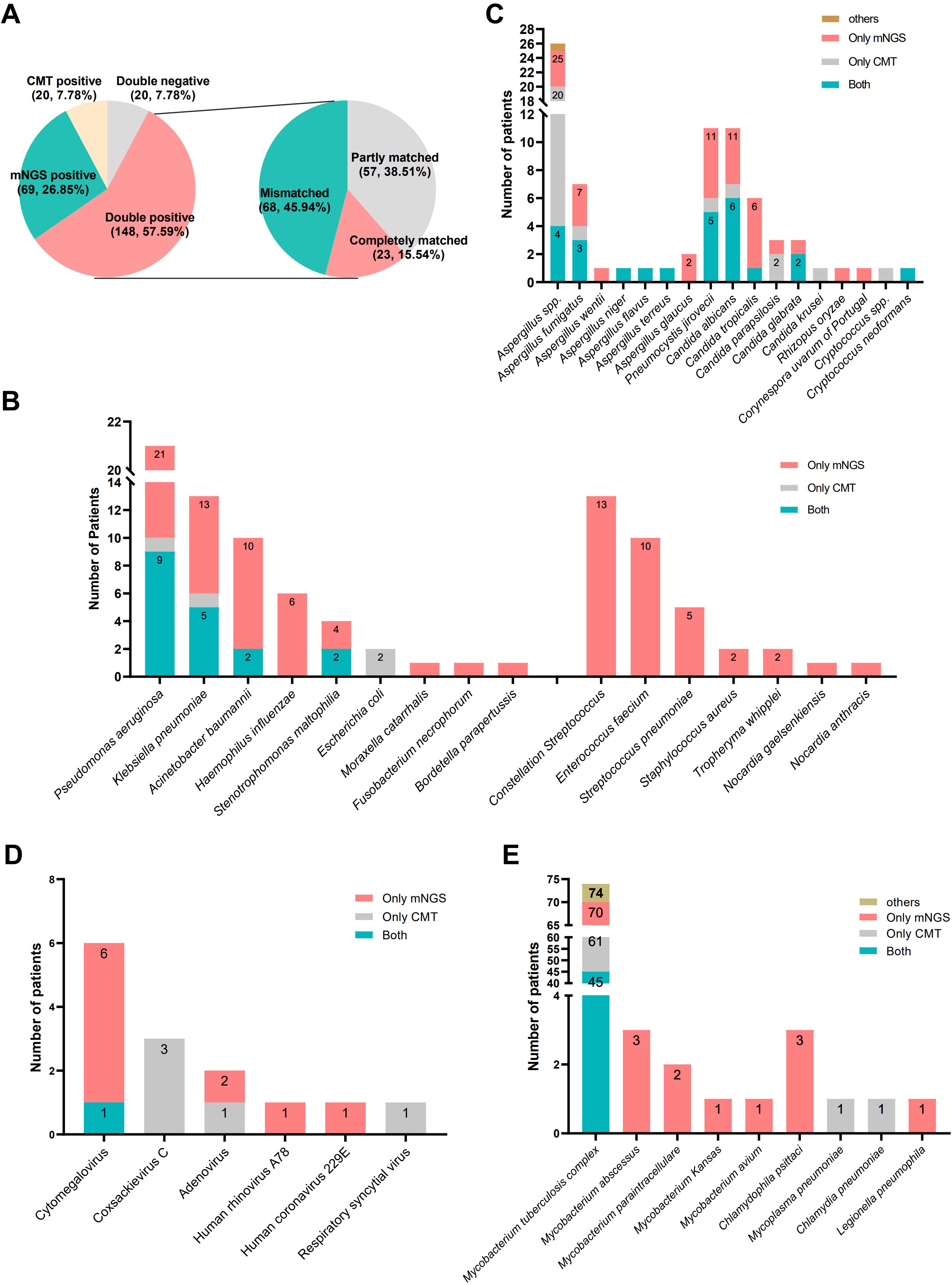 Composite image consisting of five sections (A to E) displaying data visualizations related to medical testing results. A: Pie charts showing classification of test outcomes as double positive, double negative, mismatched, partly matched, completely matched, and individual positives for mNGS and CMT. B: Bar chart illustrating the number of patients with specific bacterial infections, categorized by detection method (Only mNGS, Only CMT, Both). C: Bar chart of the number of patients with fungal infections, with similar categorization. D: Bar chart showing viral infections across patients, categorized by detection method. E: Bar chart displaying bacterial and fungal infections, highlighting detection method used. Color coding differentiates categories: Only mNGS, Only CMT, Both, and Others.