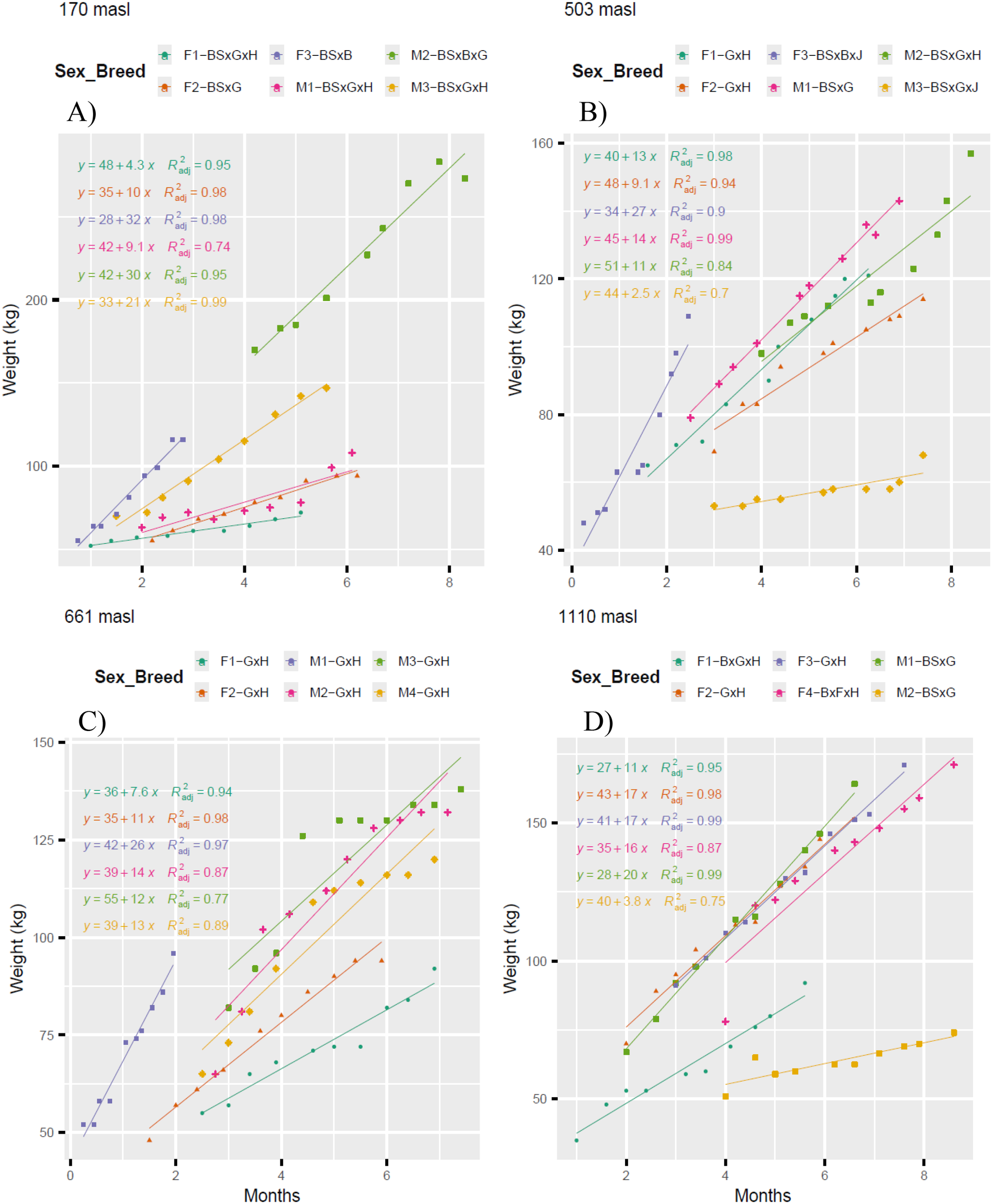 Four scatter plots labeled A, B, C, and D show livestock weight against months at different elevations: 170, 503, 661, and 1110 meters above sea level. Each plot has various colored lines representing different sex-breed combinations, with equations and R-squared values indicating trend lines. The weight increases across months, with differences in gradients and intercepts among graphs based on altitude and sex-breed. Legends identify the symbols and colors for each combination, showing variations in growth rates and weights.
