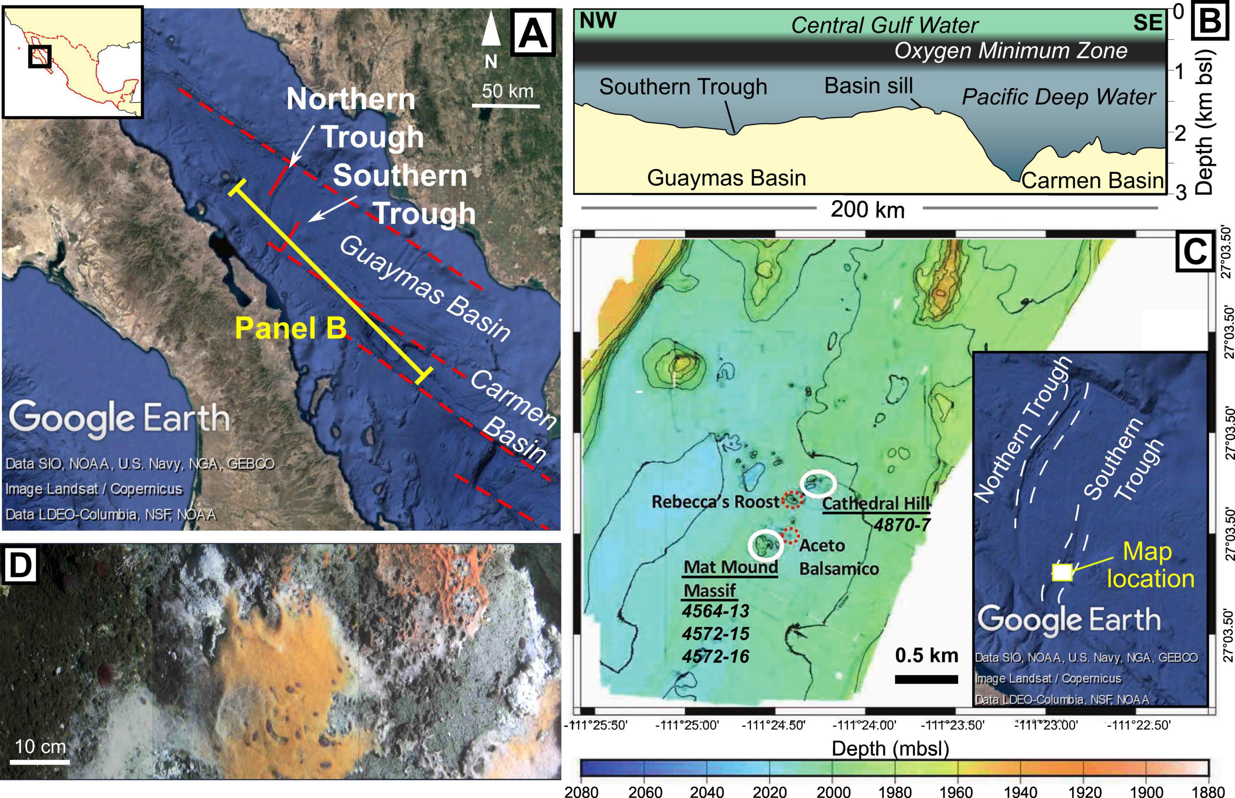 Composite image showing various maps and a close-up photograph. Panel A displays a Google Earth map of the Guaymas Basin, highlighting the Northern and Southern Troughs with a focus on Panel C area. Panel B is a cross-section illustration showing depth and the oxygen minimum zone across the Guaymas and Carmen Basins. Panel C provides a detailed bathymetric map with sites like Rebecca’s Roost and Cathedral Hill marked. The inset shows the Northern and Southern Troughs location. Panel D features a close-up image of a microbial mat with diverse colors.