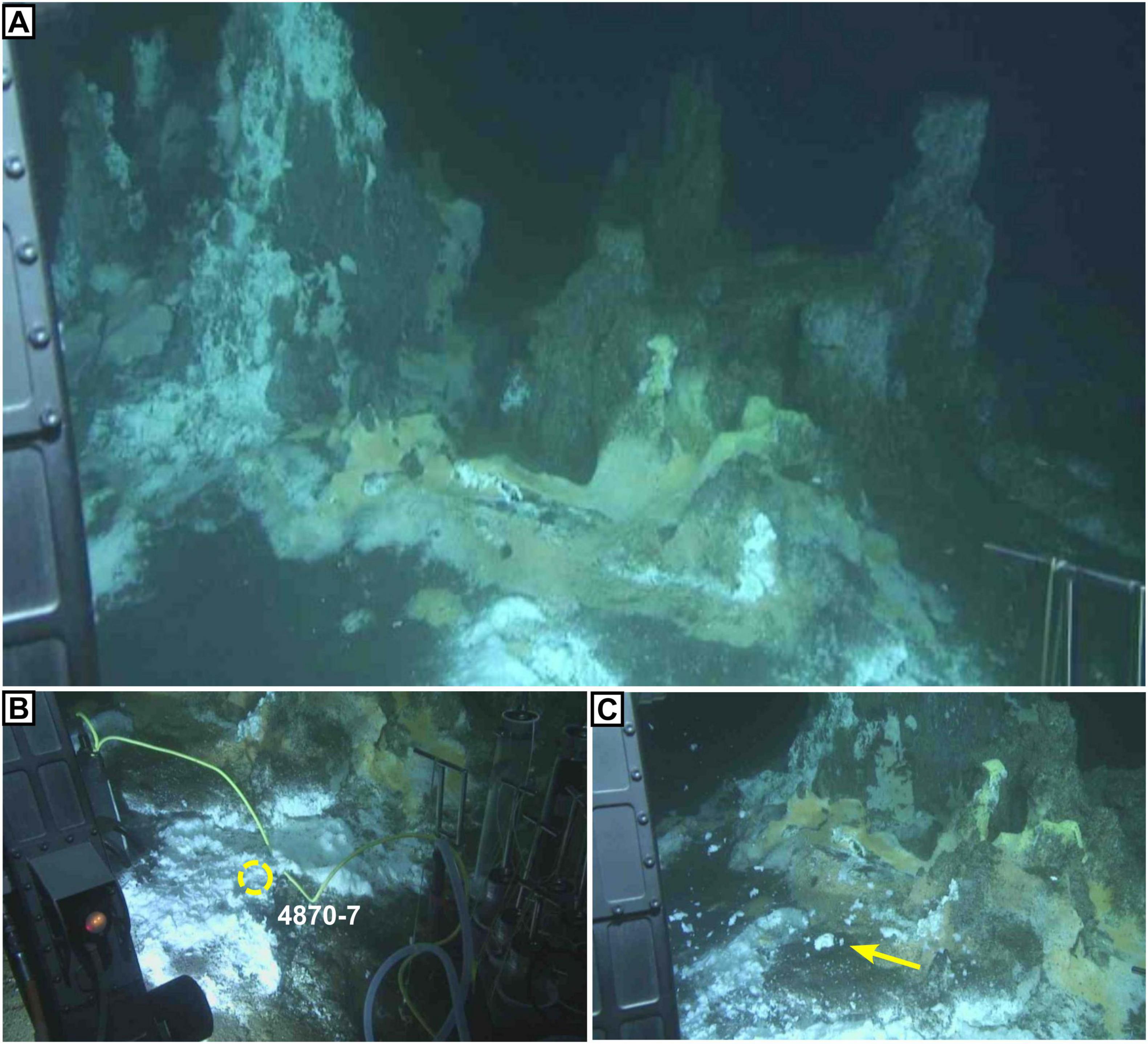 Underwater images showing a seafloor landscape with a hydrothermal seep. Panel A displays a wide view of the terrain. Panel B focuses on a specific area labeled “4870-7” with equipment present. Panel C highlights another section with a yellow arrow pointing to a feature on the seafloor.