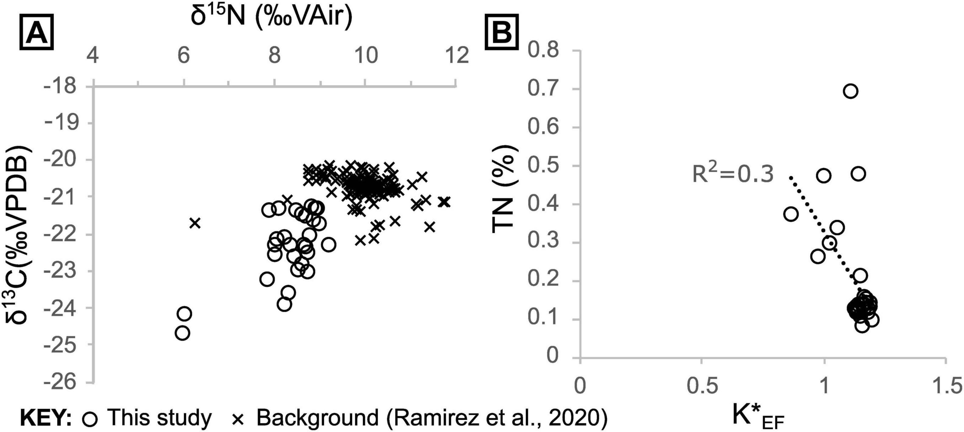 Two scatter plots labeled A and B. Plot A shows δ¹³C(‰, VPDB) versus δ¹⁵N(‰, VAir) with circles for “This study” and crosses for “Background.” Plot B shows TN(%) versus \( K^*_ \text{EF} \) with a dotted trend line and an \( R^2 \) value of 0.3, using circles for data points.