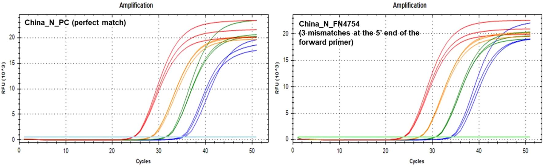 Amplification plots comparing positive control versus a known variant for the China_N assay show that the 3 mismatches at the 5' end of the forward primer do not affect assay performance.