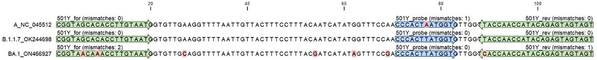 DNA sequence alignment image comparing wild-type (A_NC_045512) to two variants: B.1.1.7_OK244698 and BA.1_ON466927. Green sections indicate matching sequences, while blue and red highlight mismatches in specific nucleotides. The image shows forward and reverse sequence mismatches, with labels indicating the number of mismatches for each variant.