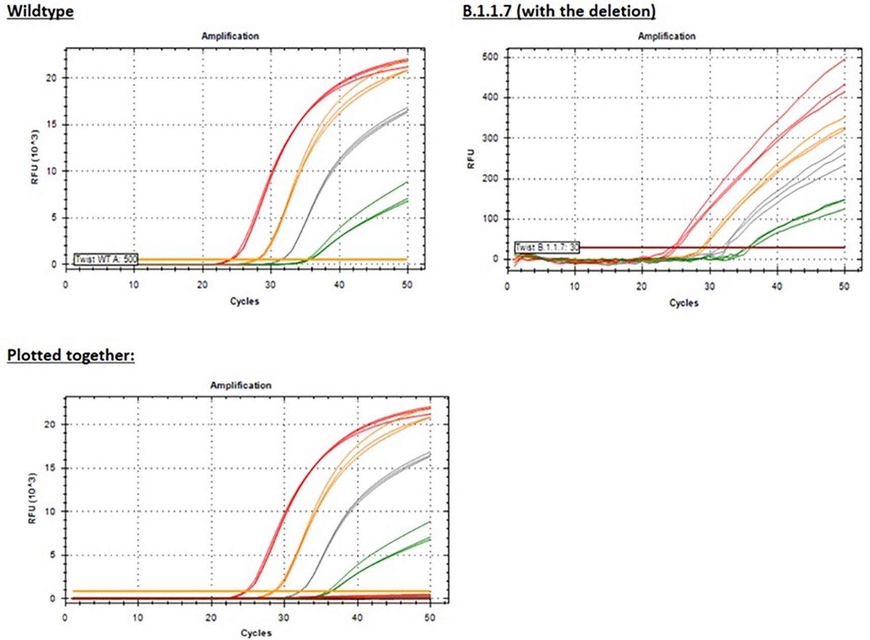 Amplification plots comparing Yale_69-70del assay performance for wild-type template and B.1.1.7 template, where the deletion in the probe-binding region leads to sharply reduced relative fluorescence units (RFU) compared to wild-type.