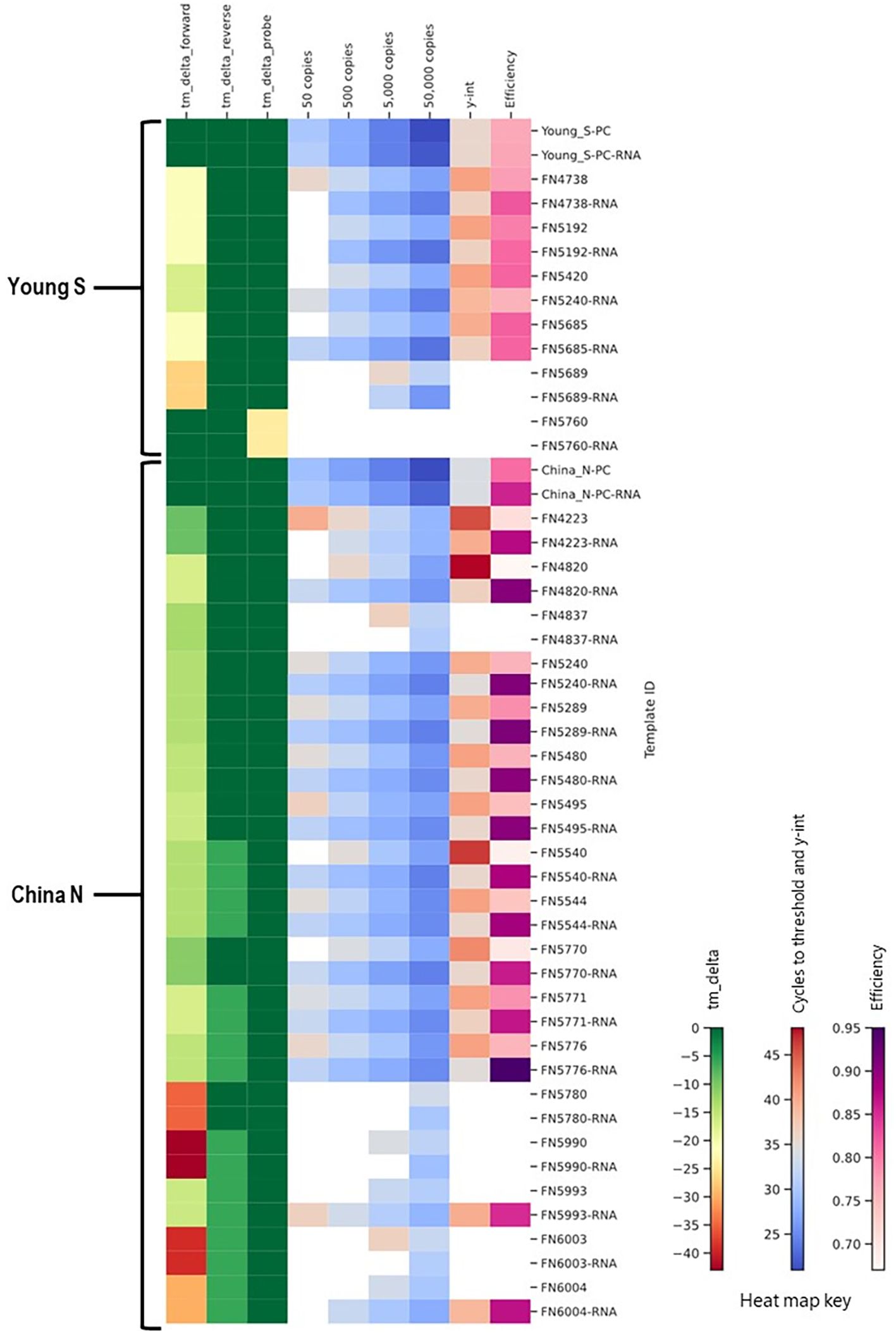 A heat map comparing performance of RNA  templates to DNA templates that demonstrated significantly delayed amplification for the Young-S and China_N assays.  A key on the right provides a color scale for tm_delta, cycles to threshold, and efficiency.  RNA templates typically produced better results than the corresponding DNA templates.