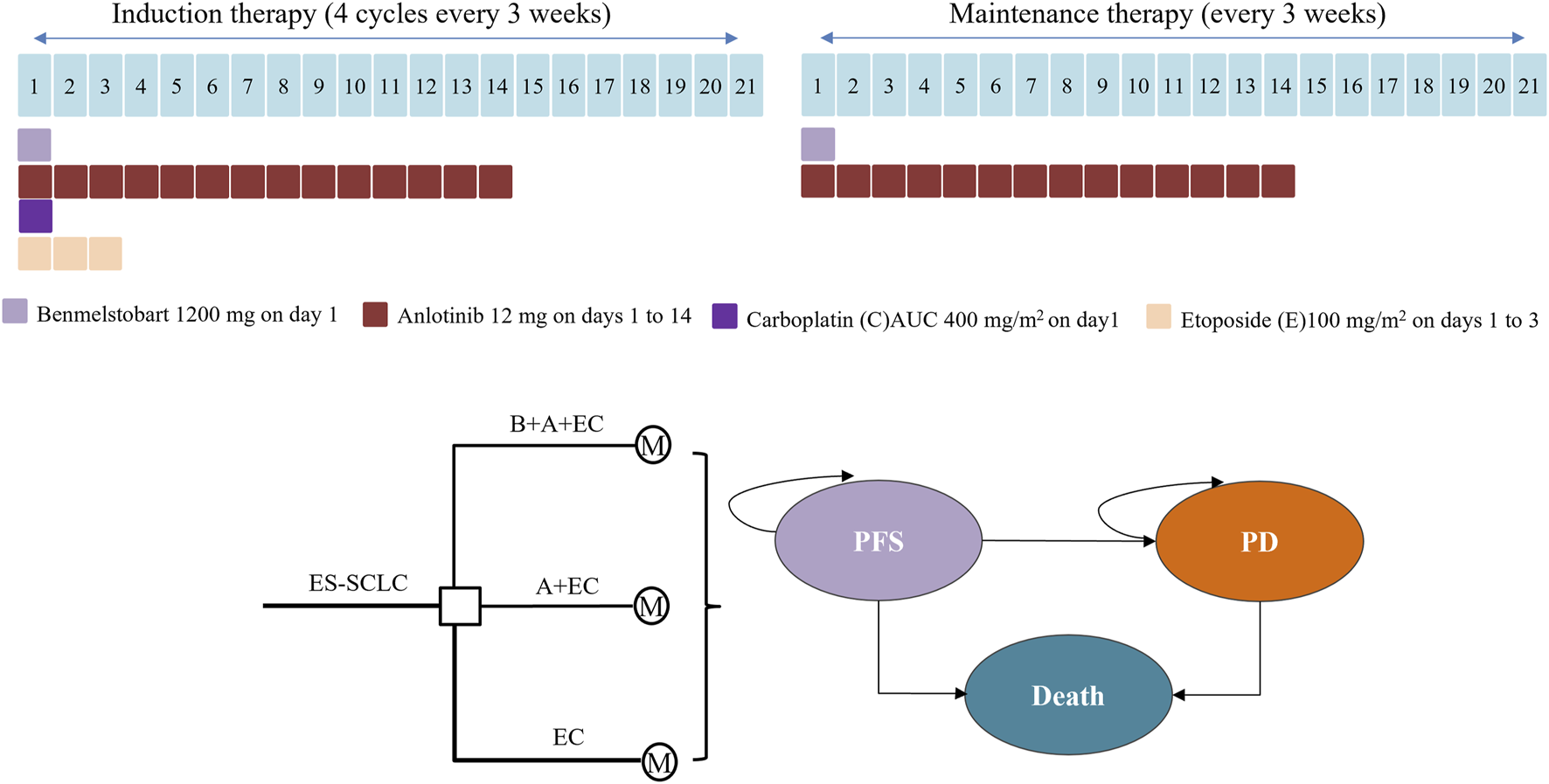 Diagram of a therapy regimen for induction and maintenance therapy over 21 days. Induction therapy uses Benmelstobart, Anlotinib, Carboplatin, and Etoposide. Maintenance therapy repeats every 3 weeks using Benmelstobart and Anlotinib. A flowchart shows progression from extensive-stage small-cell lung cancer (ES-SCLC) through states of progression-free survival (PFS), progressive disease (PD), and death. Arrows indicate transitions between these states.