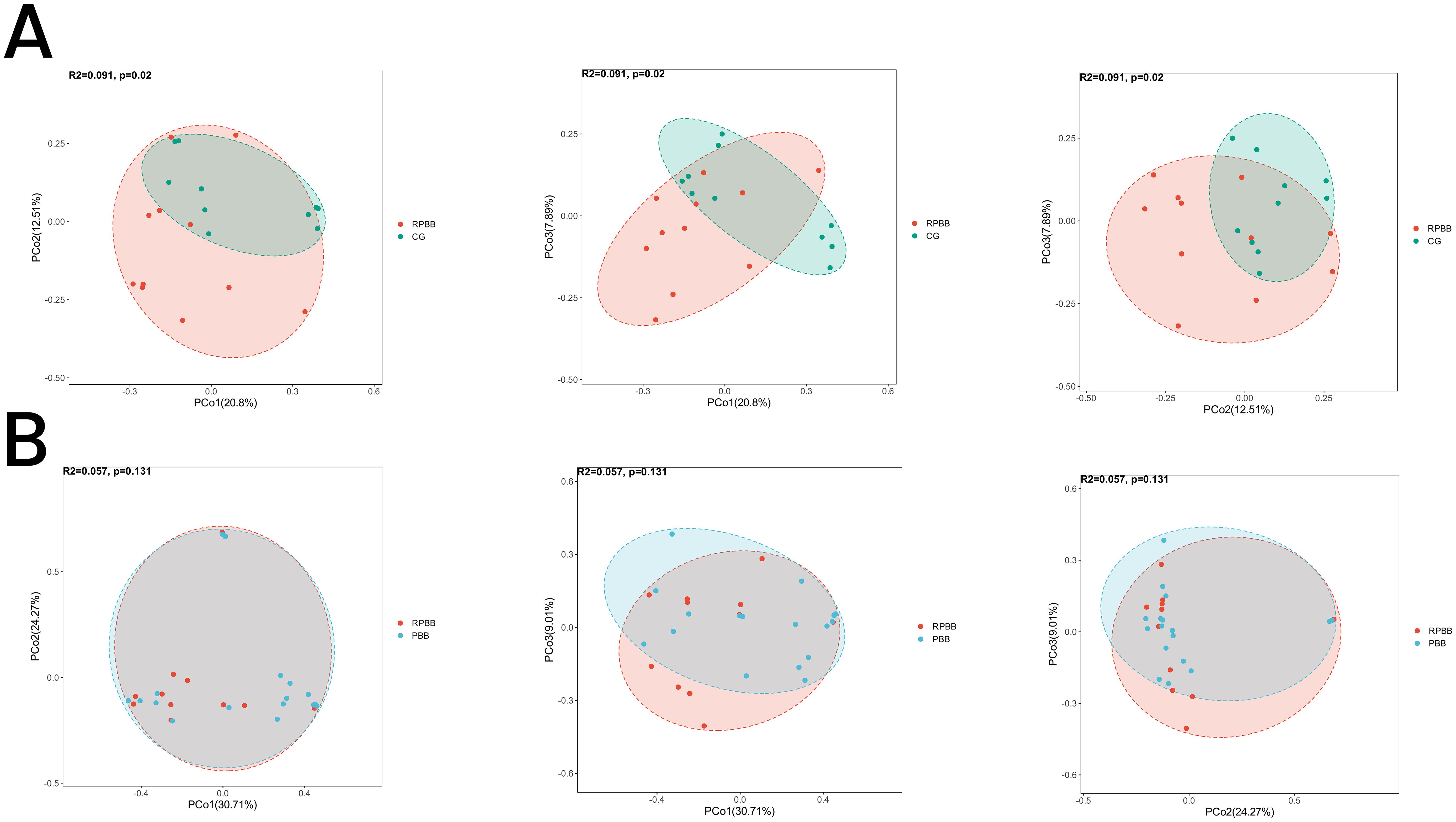 Two panels labeled A and B each contain three graphs illustrating principal coordinate analysis. Panel A shows variation between two groups, RPBB and CG, with a significant difference (R2=0.091, p=0.02). Panel B compares RPBB and PBB groups, showing no significant difference (R2=0.057, p=0.131). Each graph uses red and blue dots to represent the different groups, with overlapping ellipses indicating data spread.