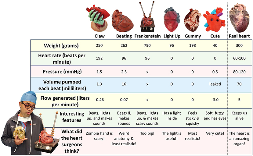 Comparison data table of six toy hearts and a real heart. Metrics compared include weight, heart rate, and flow generated. Additional data includes the opinions of heart surgeons on each toy heart. The real heart serves as the standard for comparison, showing its importance and amazement factor.