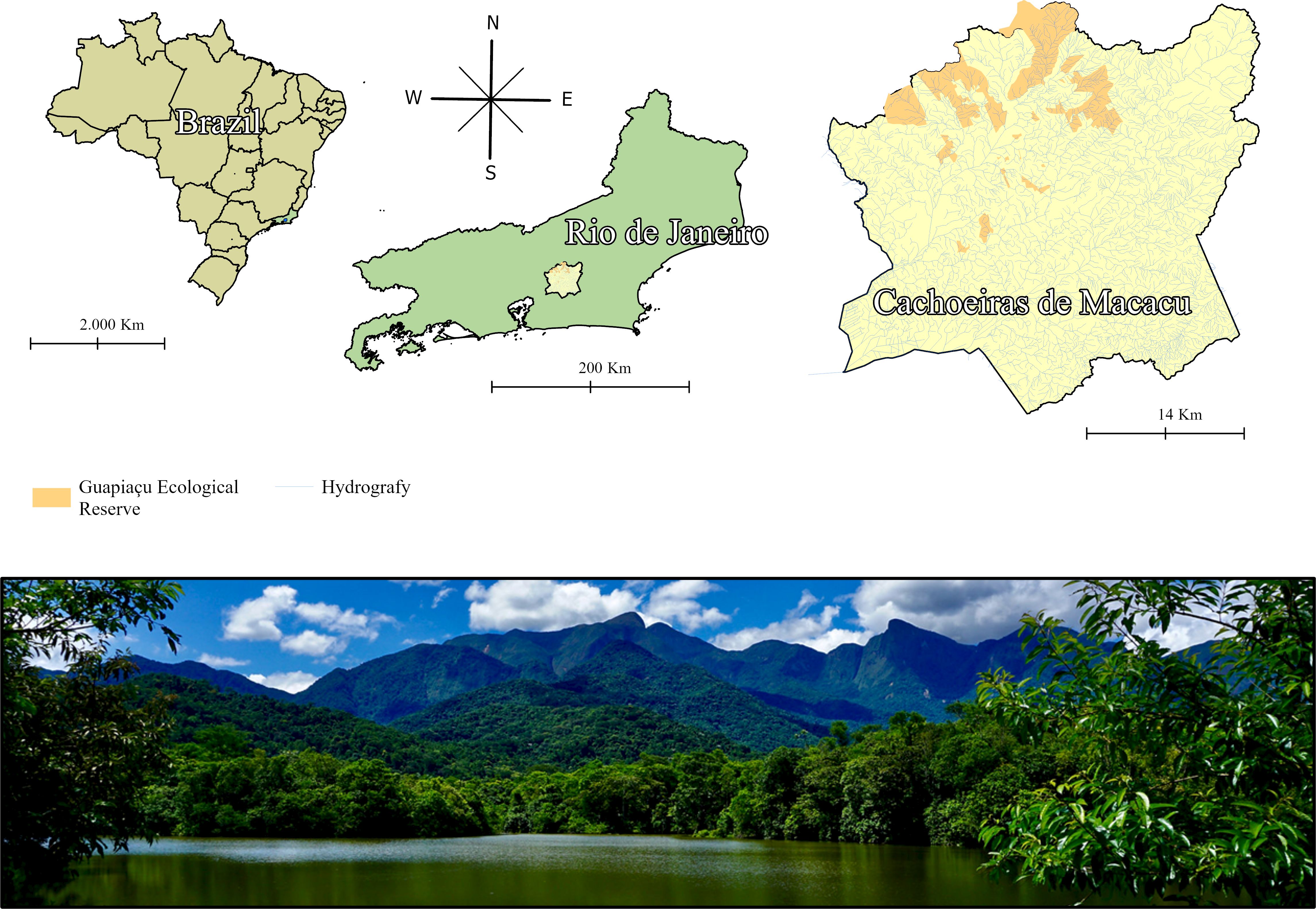 www.frontiersin.org