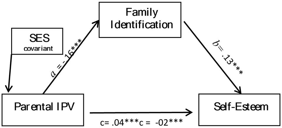 www.frontiersin.org
