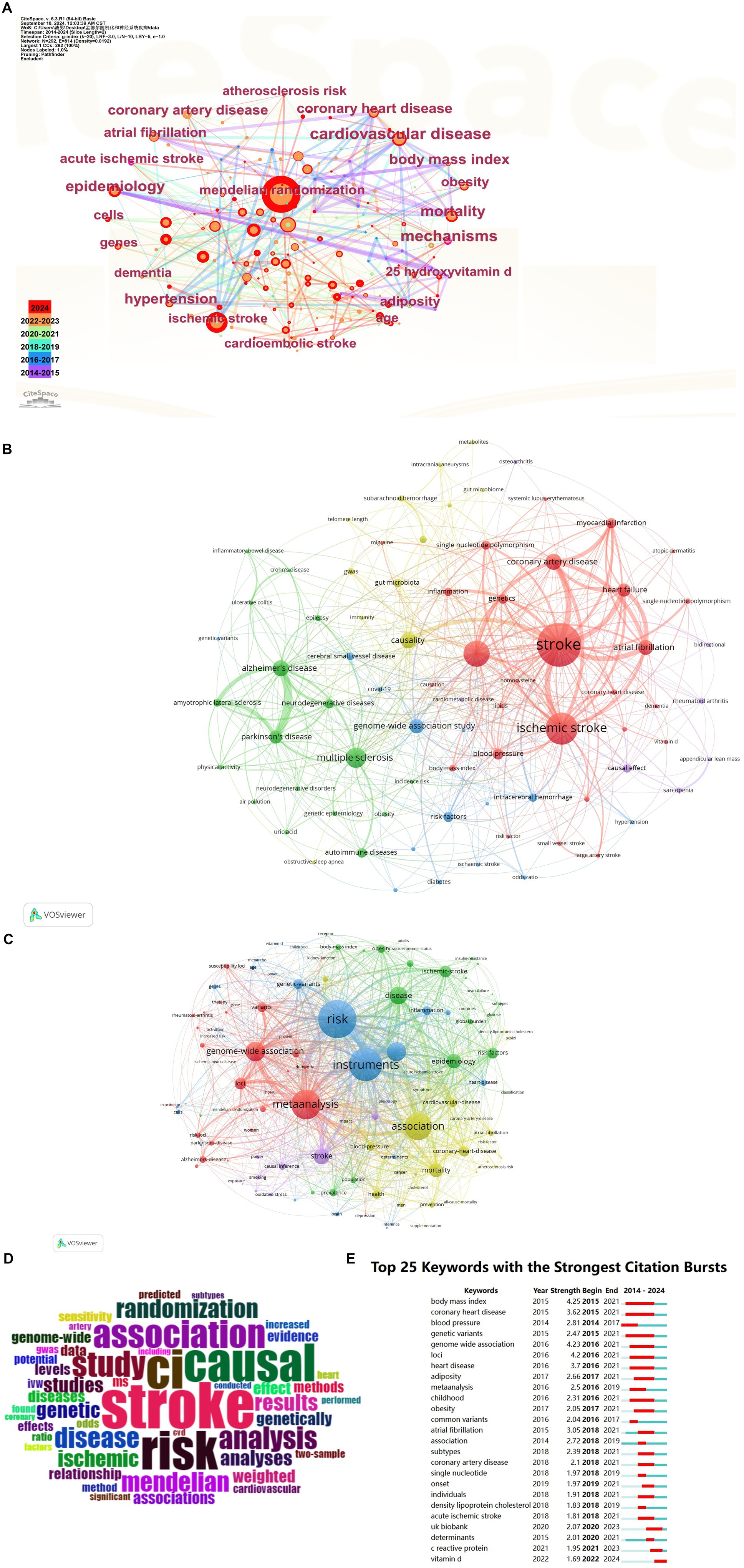 Diagram A is a network visualization from CiteSpace, showing connections between topics like cardiovascular disease, stroke, obesity, and hypertension, with nodes sized according to relevance and colored by year from 2014 to 2024. Diagram B, from VOSviewer, illustrates a clustered network graph with topics such as stroke, ischemic stroke, genome-wide association study, and Alzheimer's disease, colored by relevance, indicating their interrelatedness. Large nodes indicate highly connected concepts. Visualization showing three analyses: C displays a network map of connected terms like