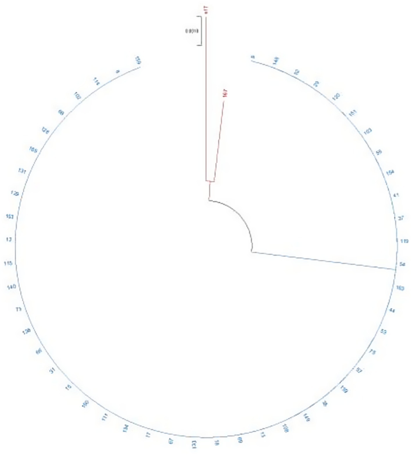 Circular phylogenetic tree with numerical labels around the outer arc. A branch highlighted in red extends from the center, marked with “0.0018” and extends from nodes labeled “407” and “457”. Blue labels encircle the rest of the diagram.