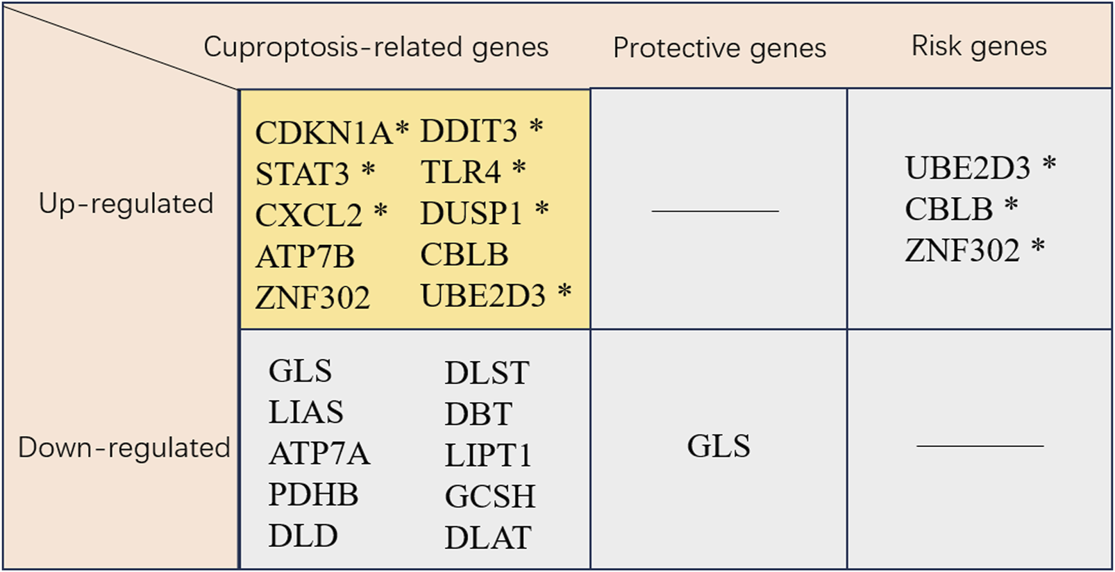 Chart shows classified gene regulation related to cuproptosis. Up-regulated genes include CDKN1A, STAT3, CXCL2, ATP7B, ZNF302, DDIT3, TLR4, DUSP1, CBLB, and UBE2D3. Down-regulated genes include GLS, LIAS, ATP7A, PDHB, DLD, DLST, DBT, LIPT1, GCSH, and DLAT. Risk genes listed are UBE2D3, CBLB, and ZNF302. Protective genes section is blank.