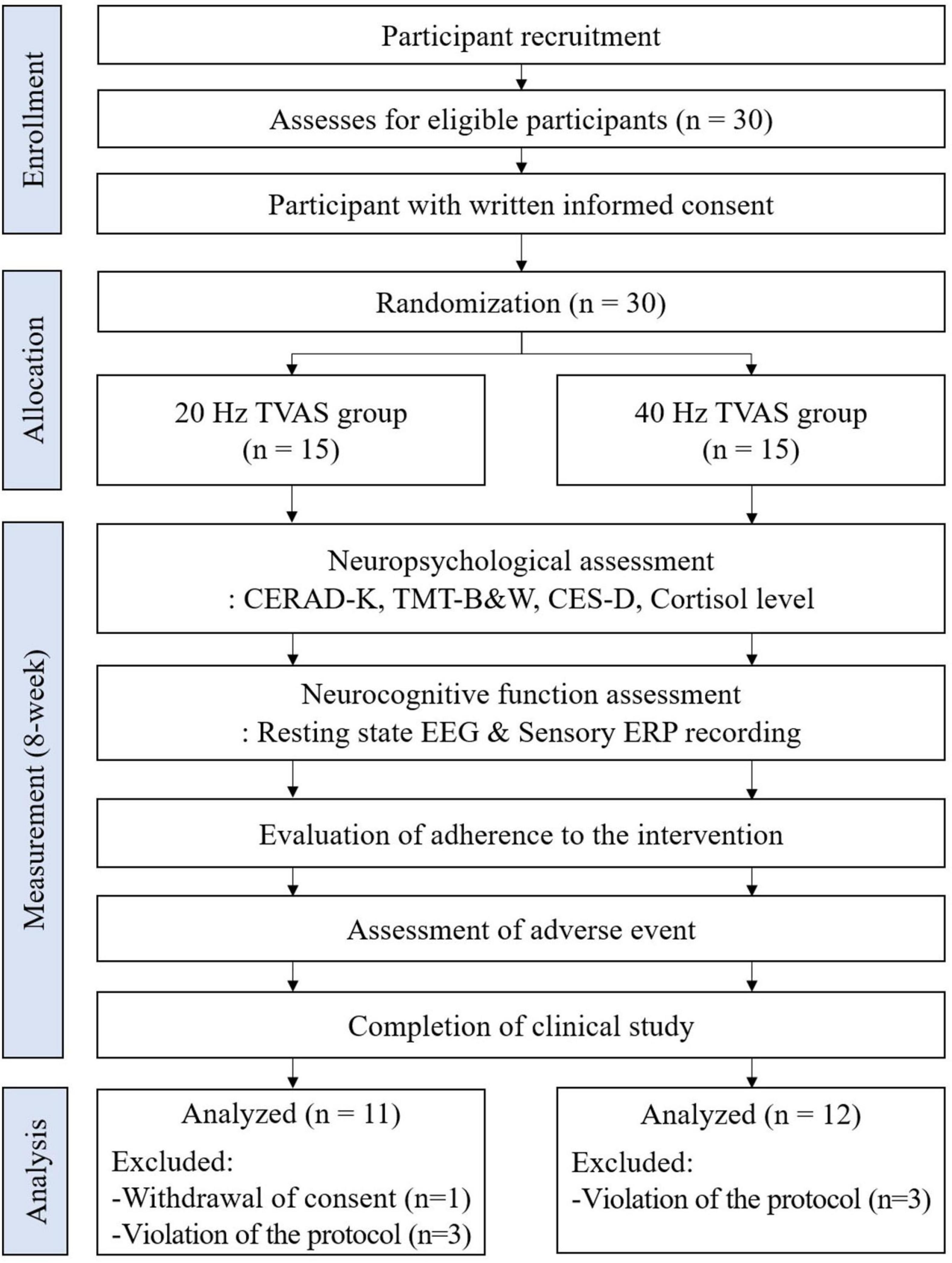 Flowchart depicting the process of a clinical study. It includes stages of enrollment, allocation, measurement, and analysis. Thirty participants were initially recruited and randomized into two groups of fifteen, one receiving 20 Hz TVAS and the other 40 Hz TVAS. Neuropsychological and neurocognitive assessments were conducted, followed by adherence evaluation, adverse event assessment, and study completion. Eleven participants in the 20 Hz group and twelve in the 40 Hz group were analyzed. Exclusions were due to consent withdrawal and protocol violations.
