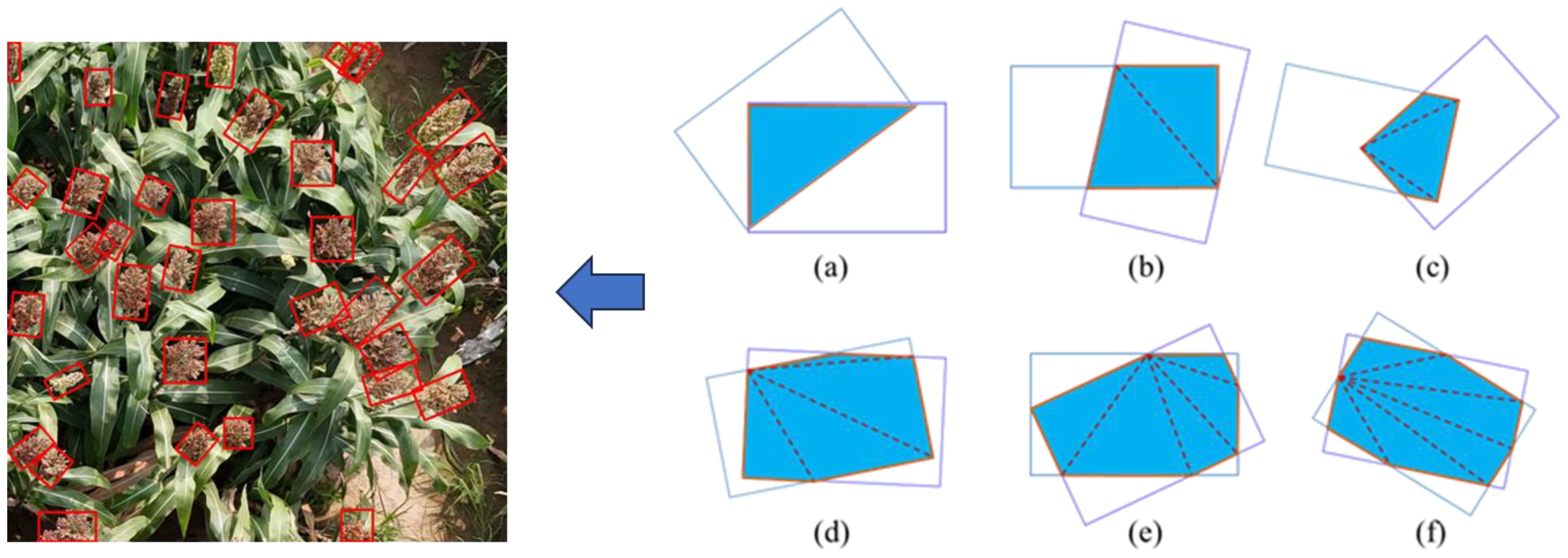 A field of corn crops with several red rectangles highlighting the corn cobs is shown on the left. On the right, there are six geometric diagrams labeled (a) to (f), each depicting a blue polygon with dashed lines and overlaid with transparent rectangles, illustrating different geometric configurations. An arrow between the crop and diagrams suggests a method or process connection.