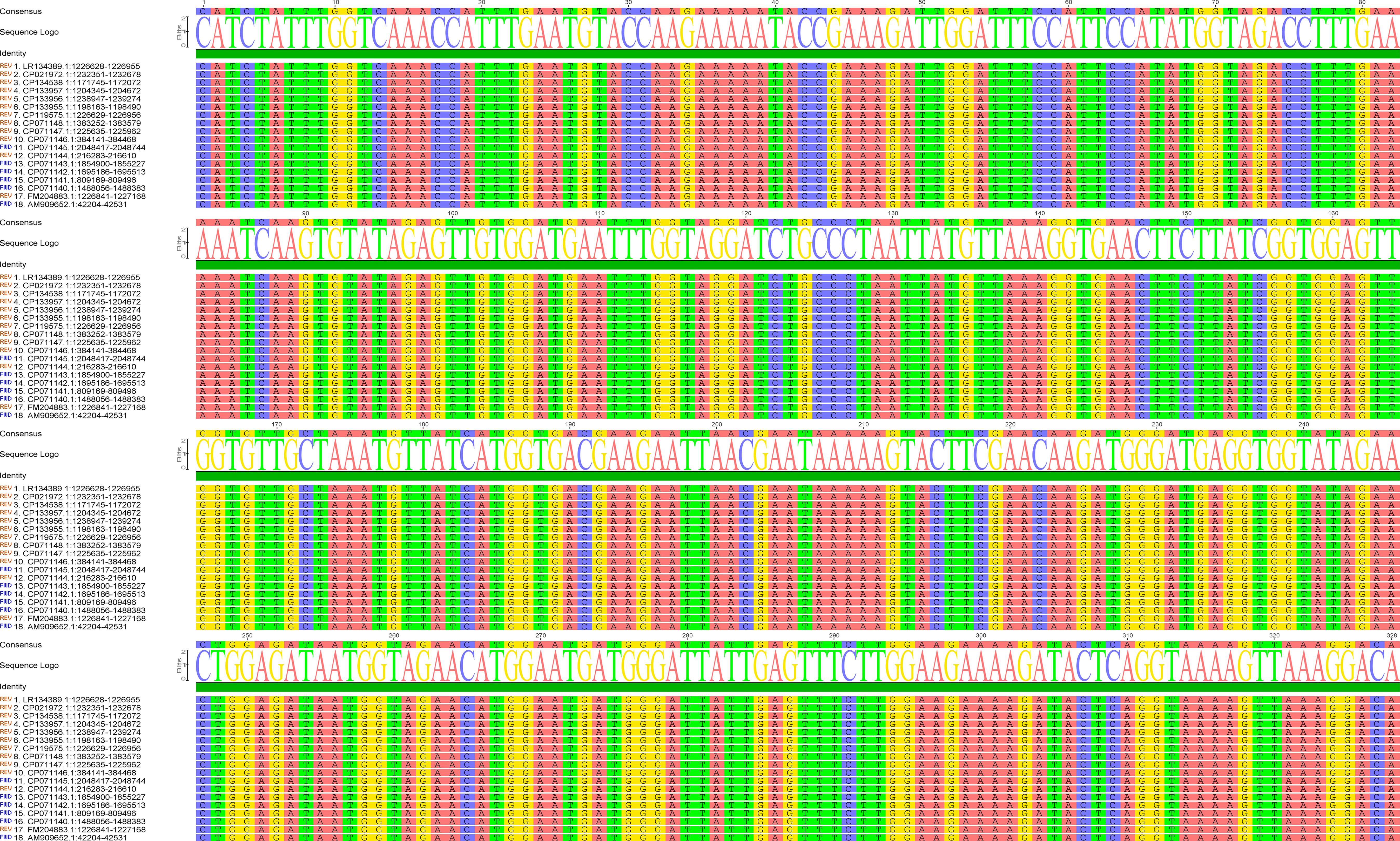 Color-coded DNA sequence alignments are shown, with multiple sequence identities listed on the left. The consensus sequences appear above each alignment, highlighting variations. Each nucleotide is marked with distinct colors for quick identification.