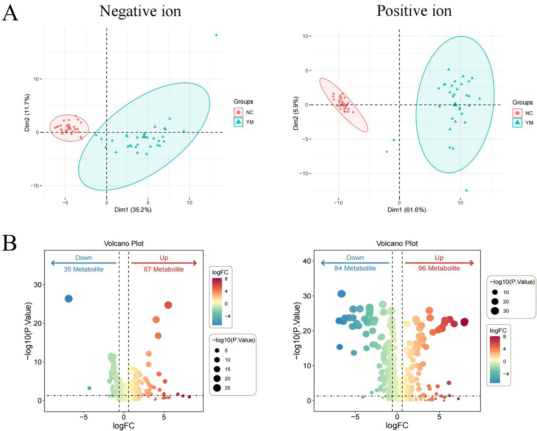 Two graphs labeled A and B compare metabolite data between HC and TB groups. Graph A displays PCA plots for negative and positive ions, with distinct clusters for each group. Graph B shows volcano plots indicating upregulated and downregulated metabolites, with color gradients representing logFC values and sizes depicting P-values.