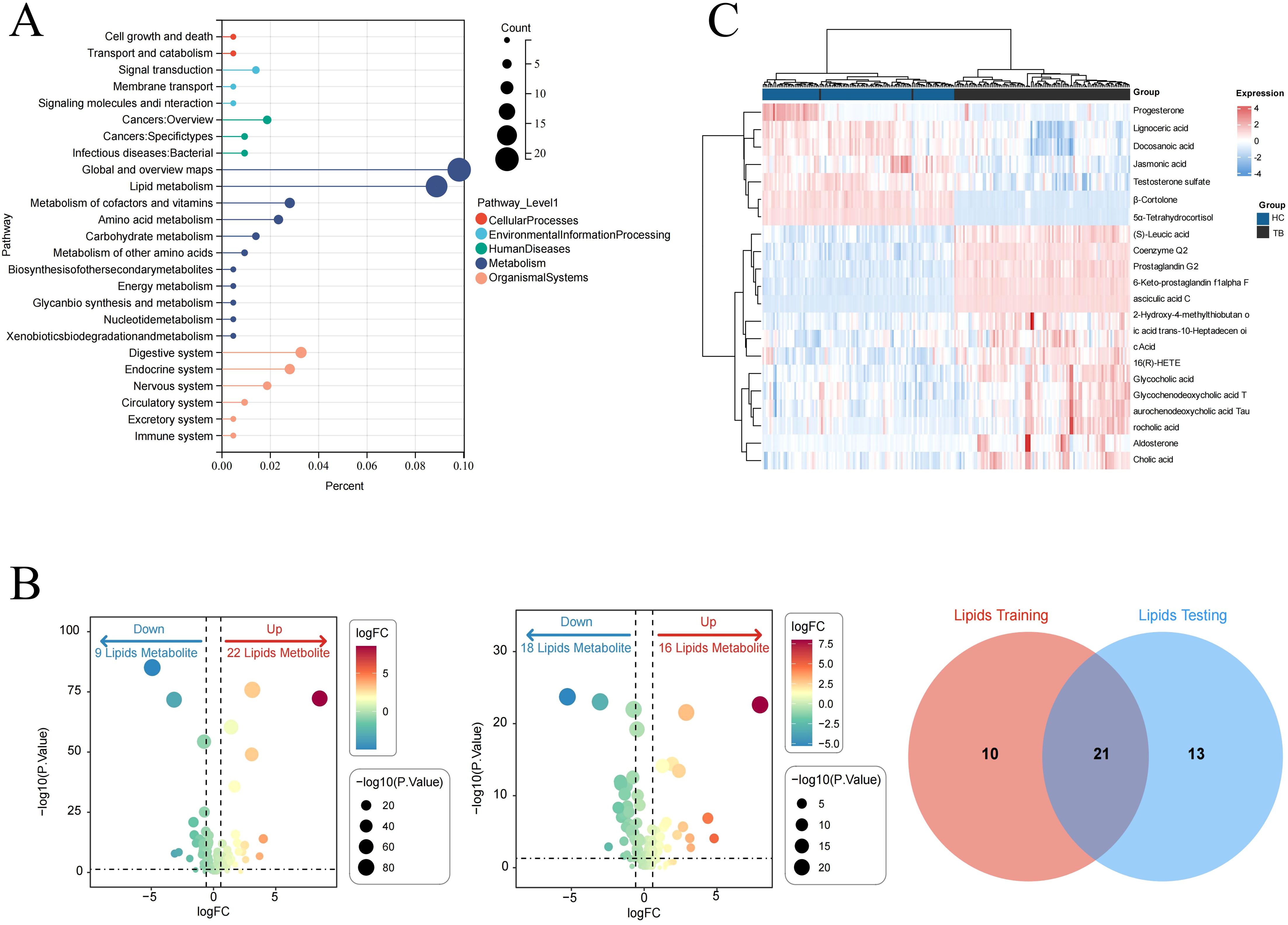 Panel A shows a dot plot of metabolic pathways with bubble size indicating count and color indicating pathway levels. Panel B contains two volcano plots showing lipid metabolites' significance and log fold change, with bubbles colored by logFC and sized by p-value log. Panel C is a heatmap of metabolites showing expression levels, grouped and color-coded. A Venn diagram in panel B shows overlap between lipids training and testing datasets, with numbers indicating unique and shared metabolites.