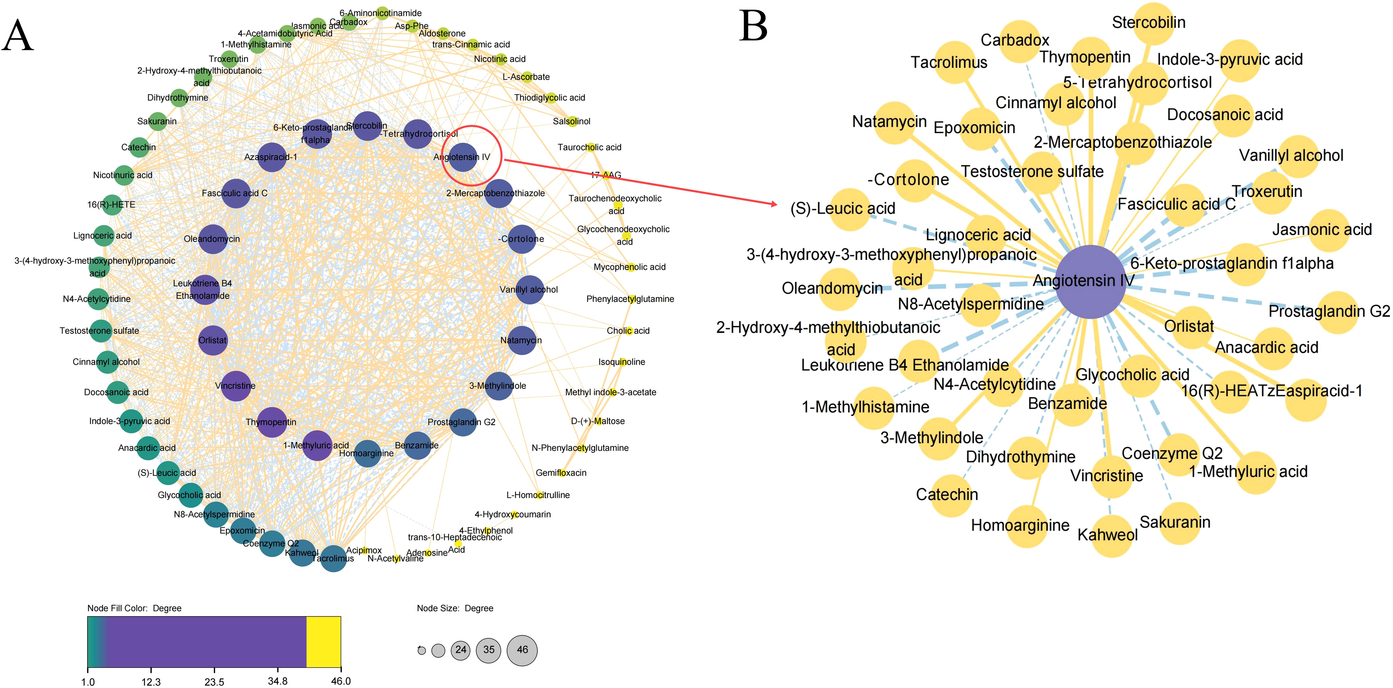 Two interconnected network diagrams labeled A and B. Diagram A shows a complex web of nodes connected by lines, color-coded from green to yellow indicating degree. Node size also varies with degree. Diagram B highlights “Angiotensin IV” at the center, connected to various compounds like “Cortolone” and “Sakuramin” in a radial pattern with yellow nodes and dashed lines. Both diagrams visualize biochemical relationships and interactions.