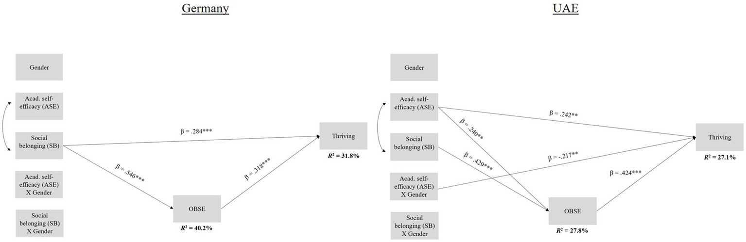 Two path diagrams compare variables related to thriving in Germany and UAE. Both diagrams include "Gender," "Academic self-efficacy," "Social belonging," and their interactions, impacting "OBSE" which influences "Thriving." In Germany, significant pathways show beta values of .546, .284, and .318 with R² for thriving at 31.8%. In UAE, significant pathways exhibit beta values of .242, .429, .217, and .424 with R² for thriving at 27.1%.