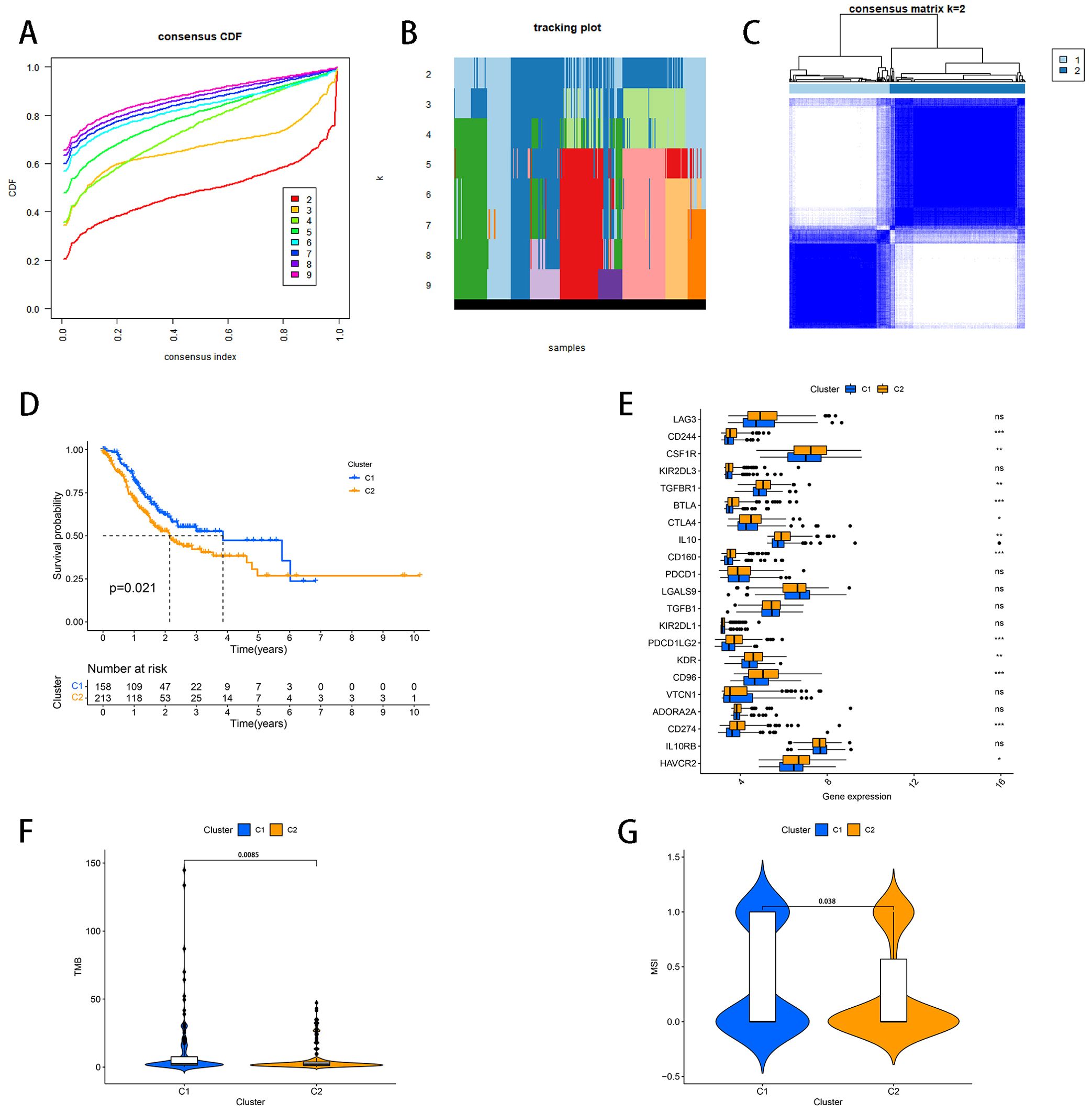 Panel A shows a consensus cumulative distribution function plot with various lines indicating different cluster configurations. Panel B is a tracking plot with colorful bars representing samples across clusters. Panel C presents a consensus matrix heatmap with two clusters. Panel D depicts a Kaplan-Meier survival curve comparing two clusters, with statistical significance noted (p=0.021). Panel E features box plots displaying gene expression for different genes across two clusters, with asterisks indicating significance levels. Panel F is a violin plot showing TMB distribution for two clusters, with a significance marker. Panel G is another violin plot illustrating IPS distribution between the clusters, also indicating significance.