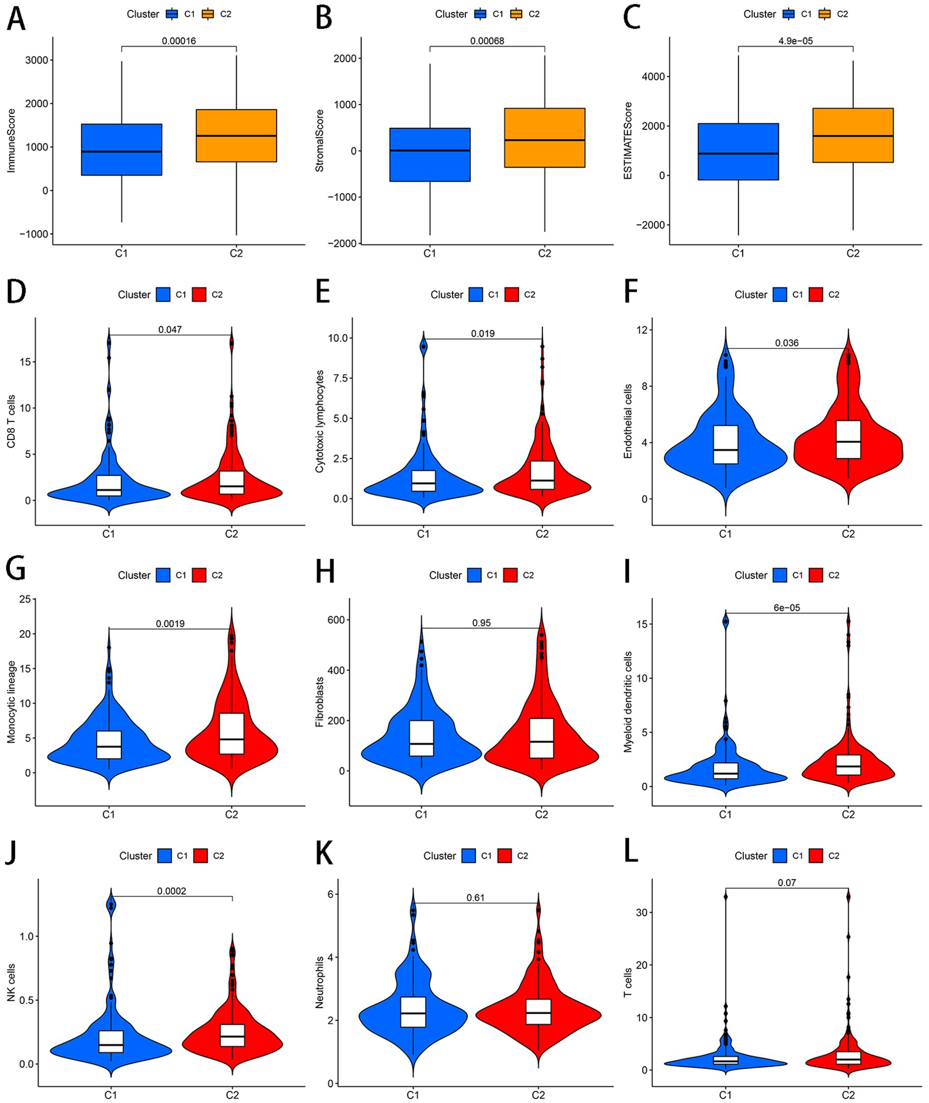 Box and violin plots comparing clusters C1 and C2 across various metrics. Panels A-C show box plots for ImmuneScore, StromalScore, and ESTIMATEScore with significant differences noted by p-values (0.00016, 0.00068, 4.9e-05). Panels D-L present violin plots for CD8 T cells, Cytotoxic lymphocytes, Endothelial cells, Monocytic lineage, Fibroblasts, Myeloid dendritic cells, NK cells, Neutrophils, and T cells. Significant differences are marked with p-values above the plots, indicating variability between the clusters.