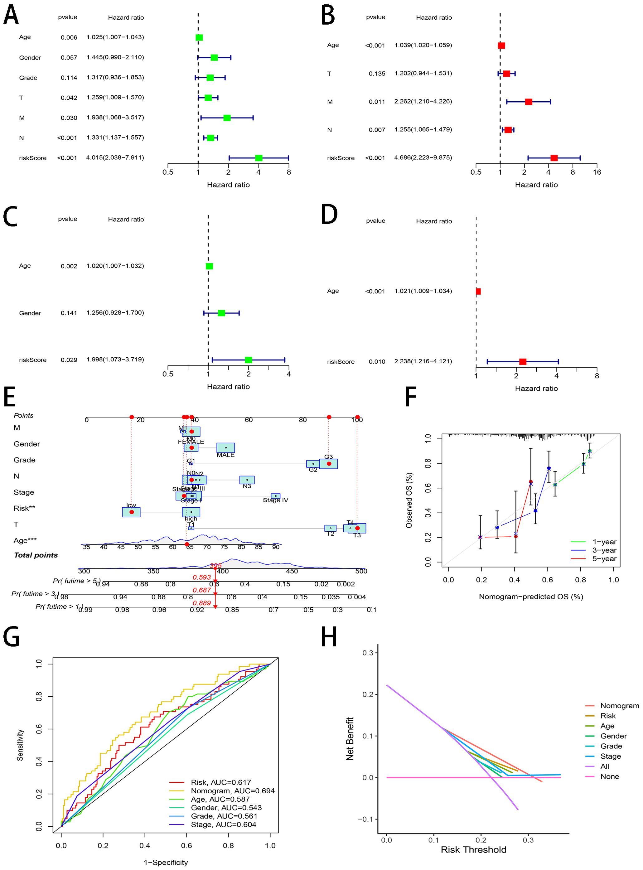 Charts A to D are forest plots showing hazard ratios and p-values for various factors, including age, gender, grade, tumor stage, metastasis, and risk score. Each plot uses different colored markers and error bars. Chart E is a nomogram for predicting survival with scores for different parameters like age, gender, and tumor stage. Chart F is a calibration plot comparing observed overall survival with nomogram predictions over one, three, and five years. Chart G is an ROC curve displaying the sensitivity and specificity of different factors, with AUC values. Chart H is a decision curve analysis plot, displaying net benefit versus risk threshold for several models.
