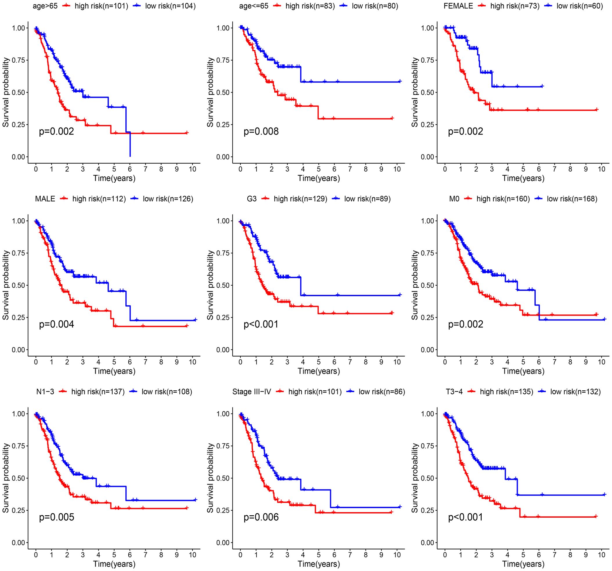 Eight Kaplan-Meier survival curves depict the survival probability over time in years for high-risk (red) and low-risk (blue) groups in various subcategories: age over sixty-five, age sixty-five or younger, female, male, G3 stage, M0 stage, N1-3 stage, stage three to four, and T3-4 stage. Each graph includes p-values ranging from less than 0.001 to 0.008, indicating statistical significance. Survival probability decreases more rapidly in high-risk groups across all subcategories.