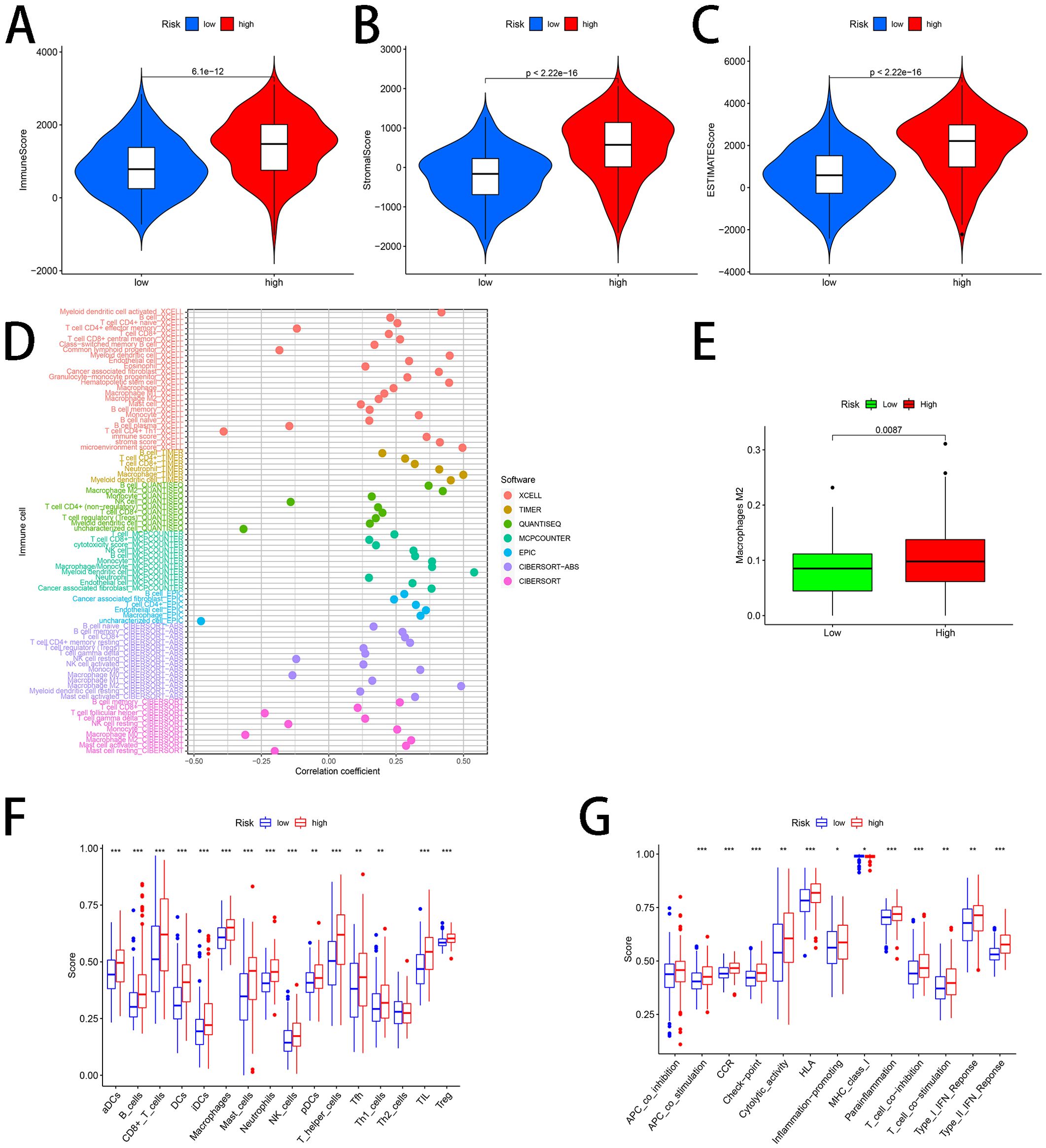 Violin plots A, B, and C compare ImmuneScore, StromalScore, and ESTIMATEScore between low-risk and high-risk groups, showing higher scores in high-risk groups with significant p-values. Graph D presents correlation coefficients of various immune cell types across different software tools. Box plot E shows a higher Macrophages M2 score in high-risk versus low-risk groups. Box plots F and G display various immune-related scores, with significant differences between low-risk and high-risk groups marked with asterisks.