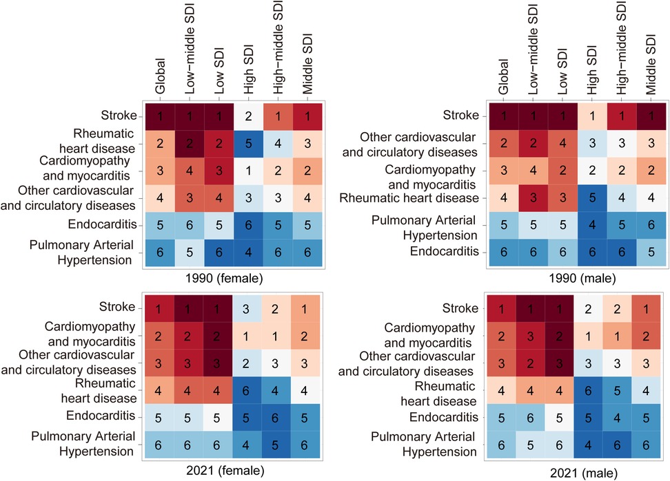 Four heat maps compare the rank of various cardiovascular diseases by SDI regions, gender, and time (1990 and 2021). Diseases include stroke, rheumatic heart disease, and others. Each map shows rankings from one to six, with darker shades indicating higher ranks. Top maps are for 1990, bottom for 2021; left for females, right for males. Regions include Global, Low-middle SDI, and others.