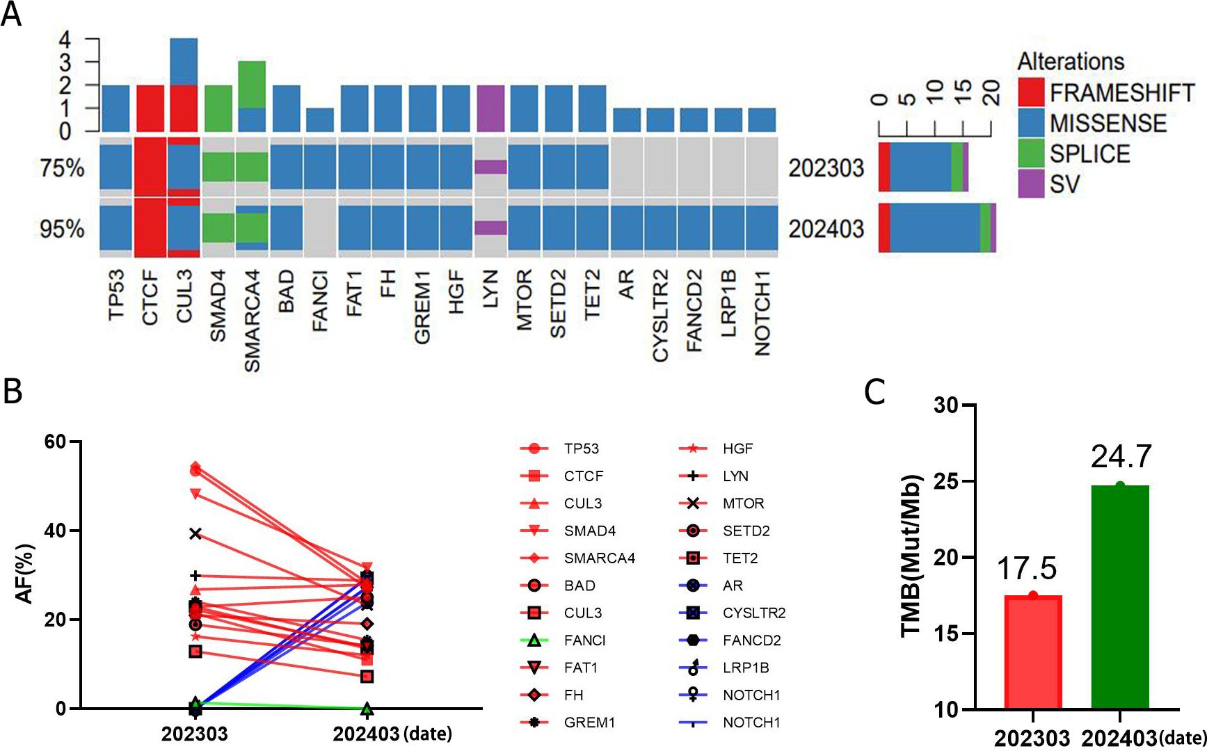 The image features three panels (A, B, C). Panel A is a stacked bar chart showing gene alterations across different genes, with color coding indicating types of alterations such as frameshift, missense, splice, and SV for time points 202303 and 202403. Panel B is a line graph depicting allele frequency percentages of various genes between two time points, with different symbols representing specific genes. Panel C is a bar chart comparing tumor mutational burden (TMB) in mutations per megabase (Mut/Mb) between two time points, showing values of 17.5 and 24.7 for 202303 and 202403, respectively.
