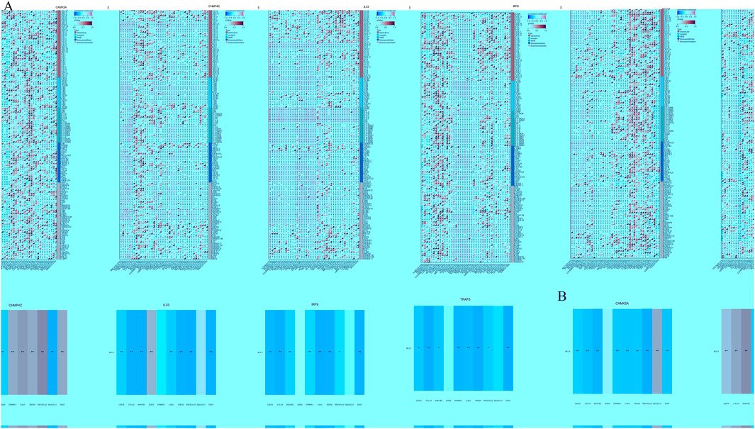 Two panels show heatmap visualizations of gene expression data across various samples. Each vertical column represents a gene, with color gradients indicating expression levels: blue for lower and red for higher expressions. The top panel (A) shows multiple gene comparisons, while the bottom panel (B) focuses on selected genes like CARD6 and RPS9. The bottom row also includes bar graphs comparing expression across different conditions.