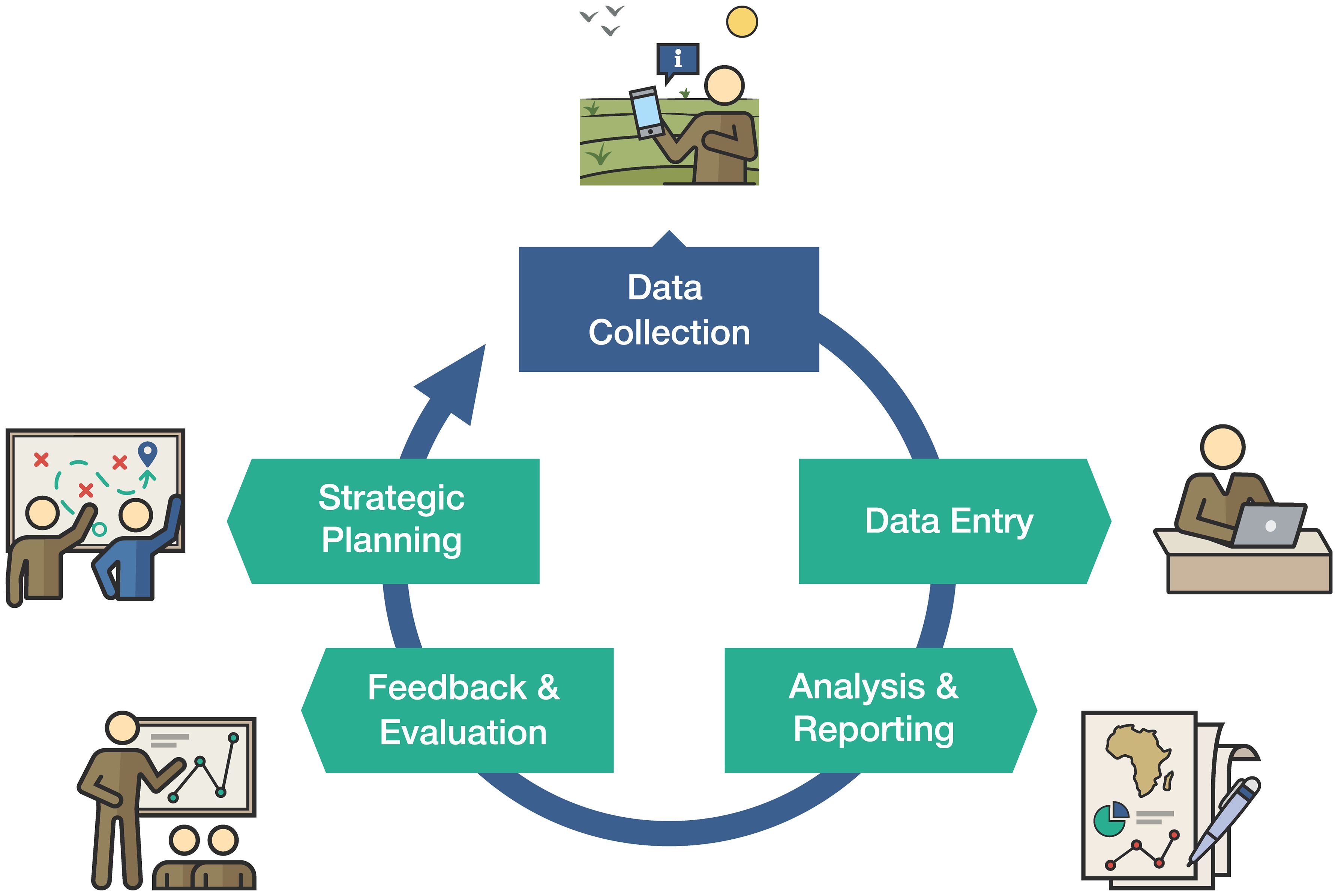 Infographic explaining the SMART adaptive management cycle used by DNPW and Panthera for adaptive patrol operations. The cycle includes five stages: Data Collection which includes Pre-briefing and De-briefing, Data Entry, Analysis & Reporting, Feedback & Evaluation, and Strategic Patrol Planning. The cycle begins when patrol teams are briefed on the day of deployment and given relevant targets to meet during their patrol duty. Patrol teams collect and record data on threats and wildlife. Patrol teams report on their patrol activities and data is vetted and entered in the SMART database. Data is processed into highly visual tables, charts and maps, showing patrol effort and encounters in spatial context. Reports are created showing patrol efforts and results. Patrol objectives and targets are created and evaluated using SMART data. Finally plans are created using the updated data and information reports. Adapted from Cronin et al., 2021a.