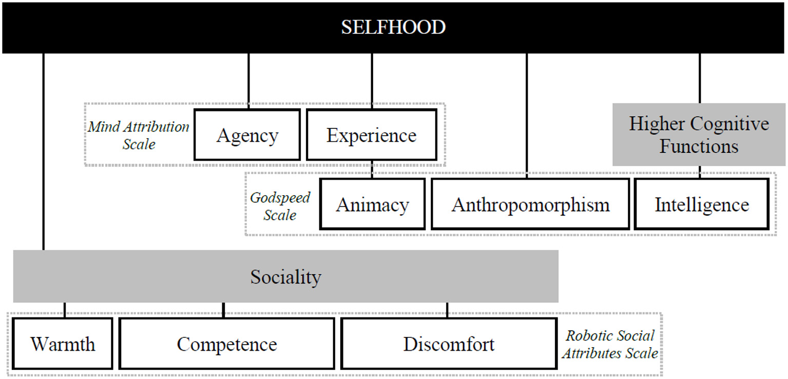 Diagram illustrating the concept of “Selfhood” with branches leading to “Agency” and “Experience” from the Mind Attribution Scale, “Animacy,” “Anthropomorphism,” and “Intelligence” from the Godspeed Scale, under “Higher Cognitive Functions.” Below, “Sociality” branches into “Warmth,” “Competence,” and “Discomfort” from the Robotic Social Attributes Scale.