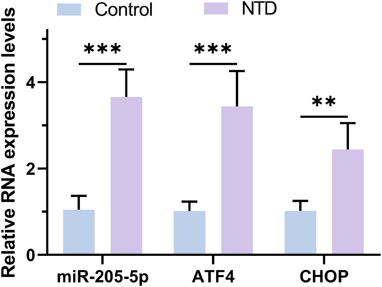 Bar graph showing relative RNA expression levels of miR-205-5p, ATF4, and CHOP. NTD group (purple) shows significantly higher expression levels compared to the control group (blue). Significance levels are indicated by asterisks: miR-205-5p and ATF4 both have three asterisks, indicating high significance, while CHOP has two asterisks.