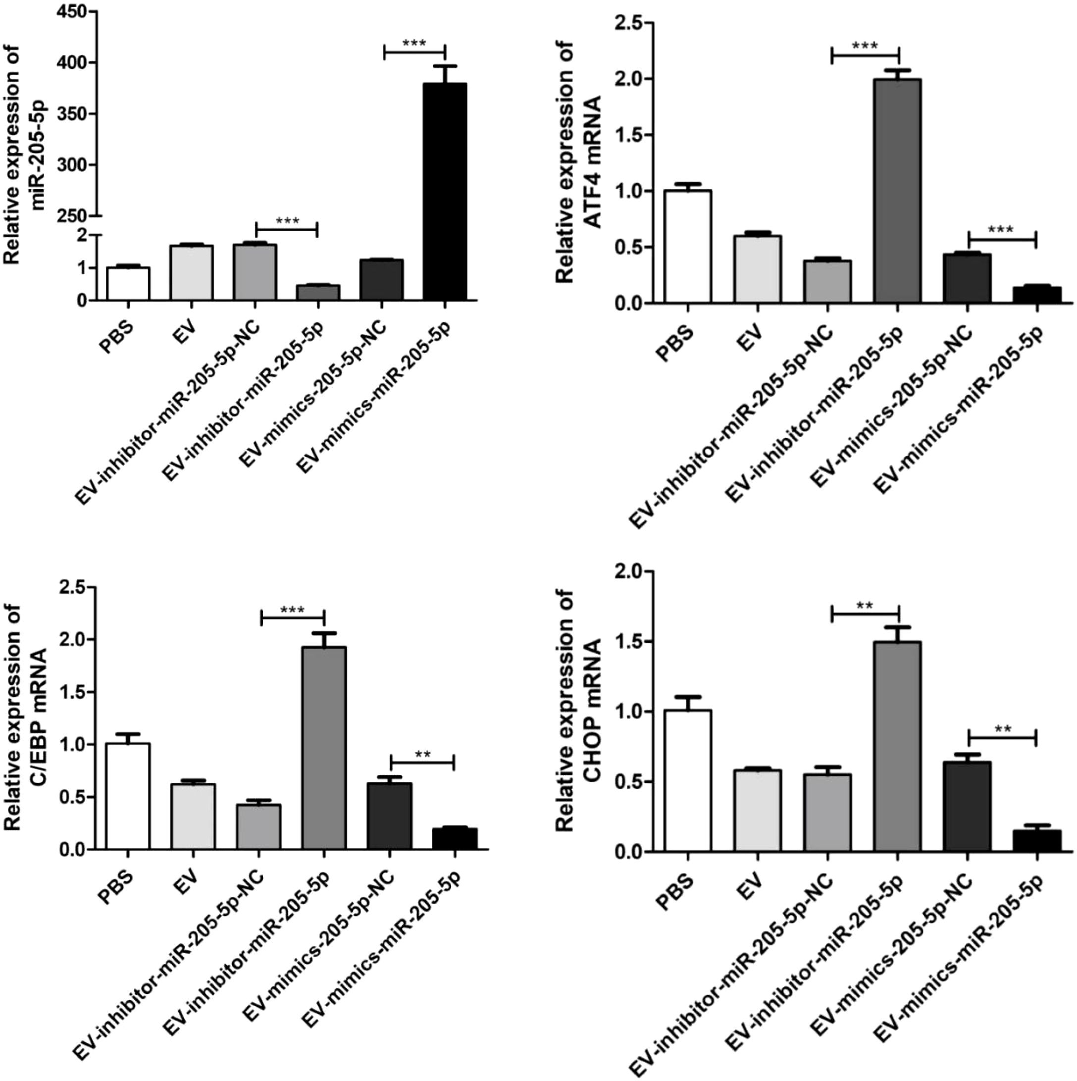 Four bar graphs display relative expression levels of miR-205-5p, ATF4 mRNA, C/EBP mRNA, and CHOP mRNA across six experimental conditions: PBS, EV, EV-inhibitor-miR-205-5p-NC, EV-inhibitor-miR-205-5p, EV-mimics-205-5p-NC, and EV-mimics-miR-205-5p. Significant differences are marked with asterisks, indicating statistical relevance.