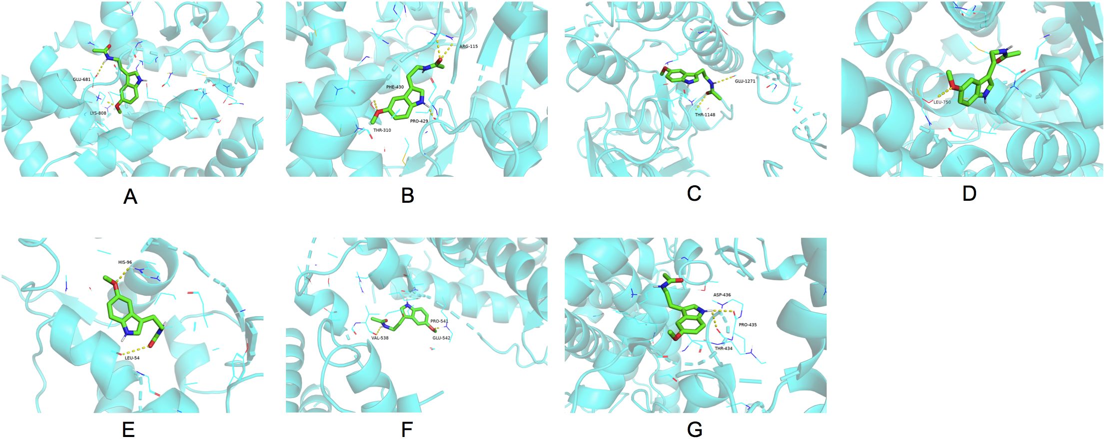 Molecular docking diagrams labeled A to G showing interactions between ligands and protein structures. Each image depicts a ligand, in green, binding to a protein site highlighted in cyan, with hydrogen bonds represented by yellow dashed lines. Labels indicate specific amino acids like GLU-681, ARG-115, and ASP-436 involved in binding, illustrating the complex interactions at each site in the protein's three-dimensional structure.