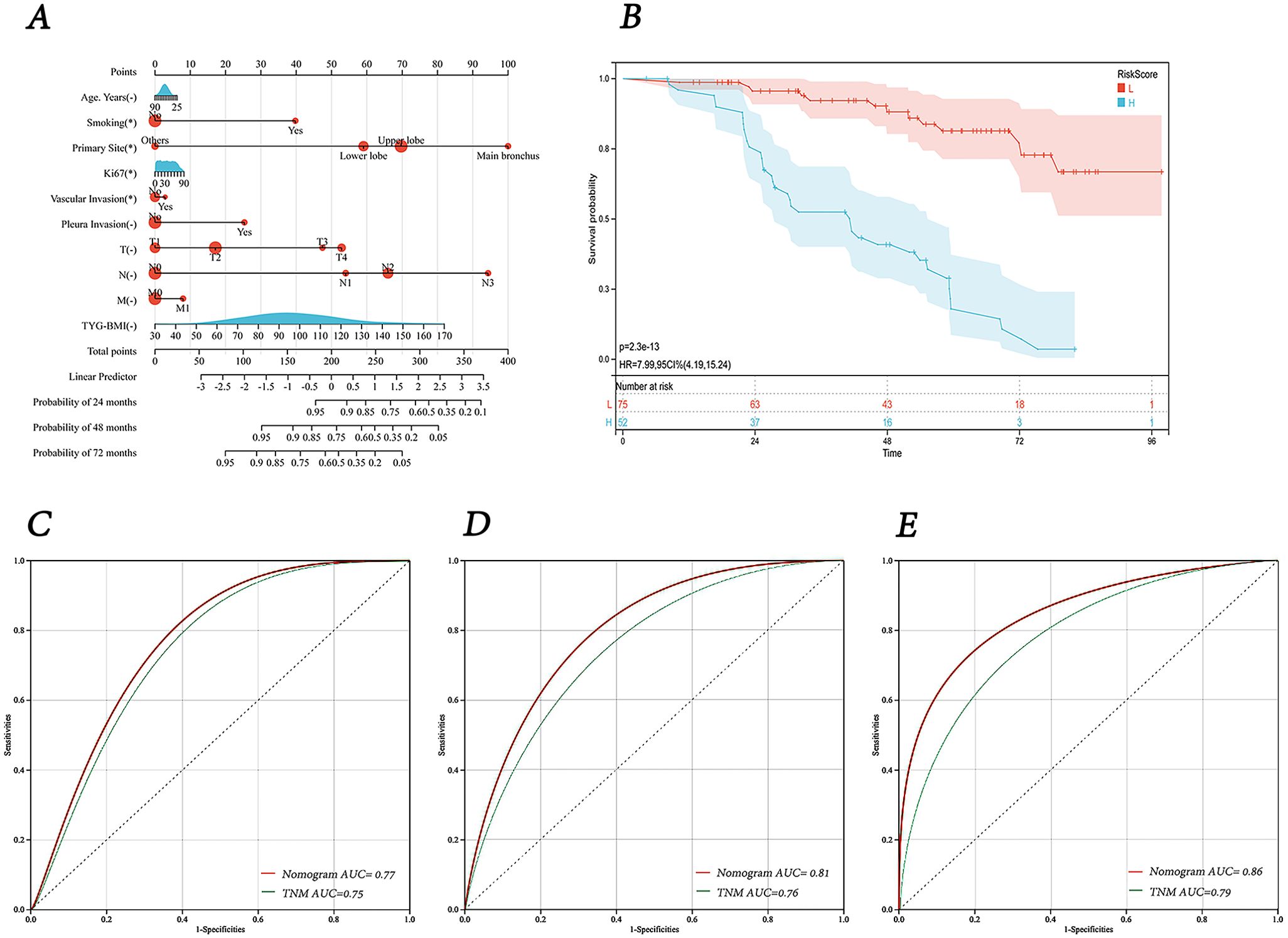 Panel A shows a nomogram predicting survival probabilities based on factors like age, smoking, and tumor characteristics. Panel B depicts a Kaplan-Meier survival curve comparing high and low risk groups, with survival probabilities over time. Panels C, D, and E display receiver operating characteristic (ROC) curves comparing nomogram and TNM staging accuracies, with area under the curve (AUC) values provided for each panel.