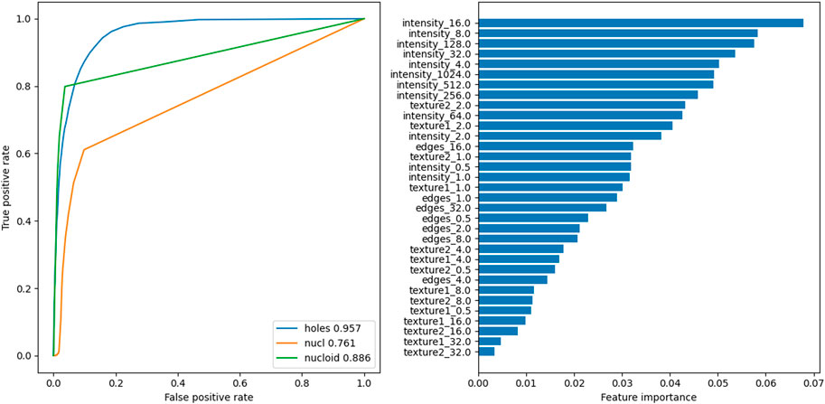 Two charts are displayed. The left chart is a Receiver Operating Characteristic (ROC) curve with three lines: blue (holes, 0.957), orange (nucl, 0.761), and green (nucloid, 0.886), showing true versus false positive rates. The right chart is a bar graph showing feature importance, with