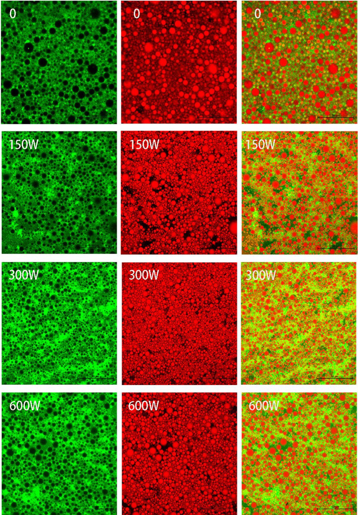 Frontiers | High internal phase Pickering emulsion by