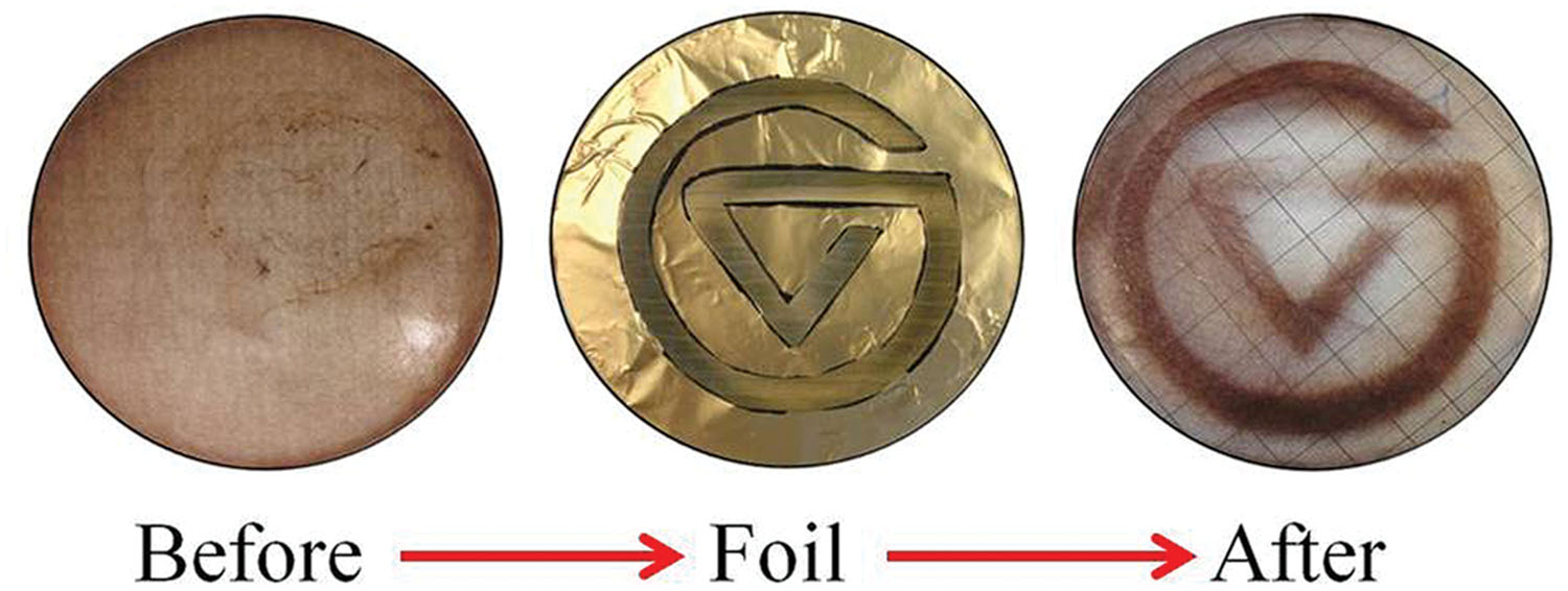www.frontiersin.org