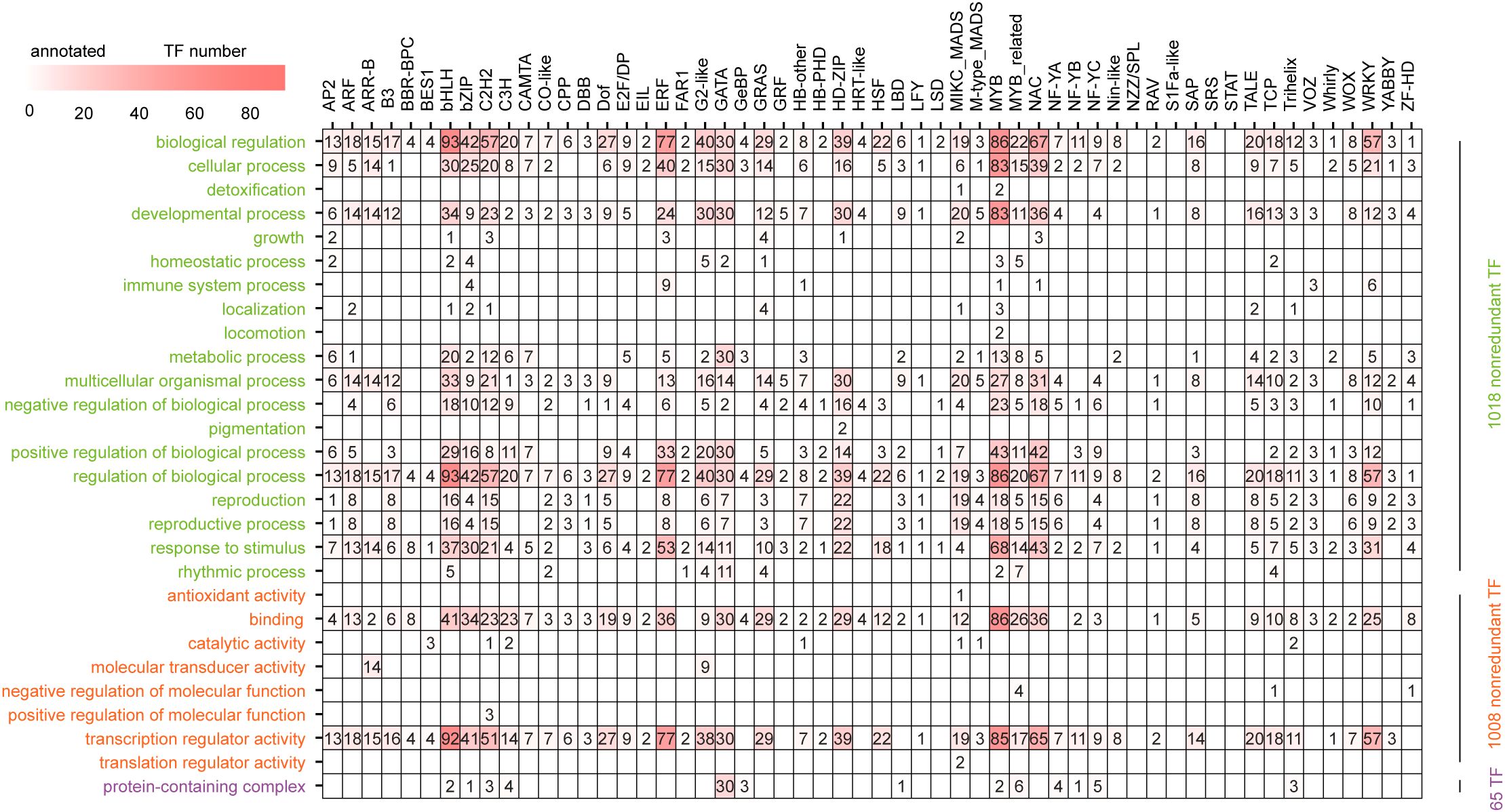 Grid matrix showing the distribution of transcription factor (TF) numbers across various biological processes. Rows represent processes like “biological regulation” and “cellular process,” while columns represent TF families such as “AP2” and “bHLH.” A color gradient from light to dark red indicates increasing TF numbers, with highlighted entries in red signifying higher frequencies.