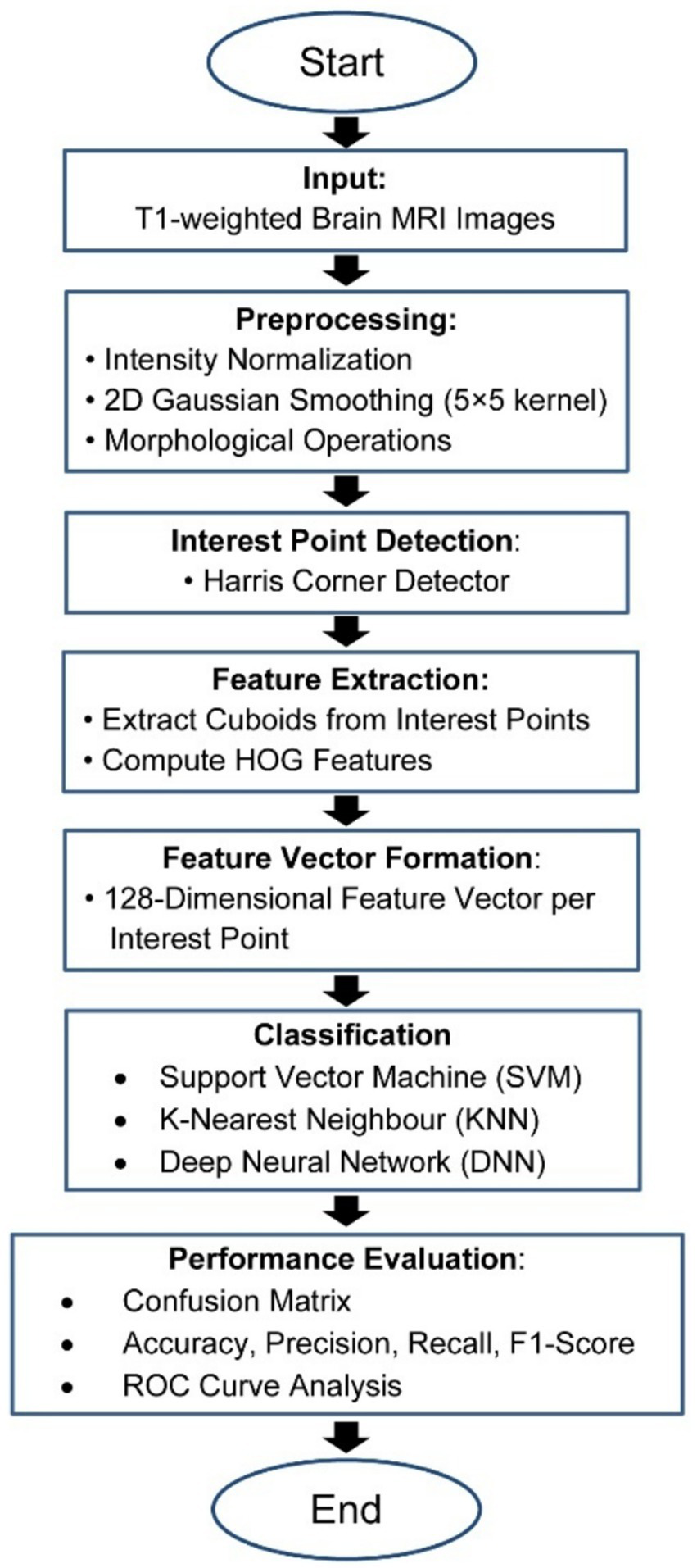 Flowchart for processing T1-weighted brain MRI images includes steps: input, preprocessing (intensity normalization, Gaussian smoothing, morphological operations), interest point detection (Harris corner detector), feature extraction (extract cuboids, compute HOG features), feature vector formation (128-dimensional per point), classification (SVM, KNN, DNN), and performance evaluation (confusion matrix, accuracy, precision, recall, F1-score, ROC curve analysis).
