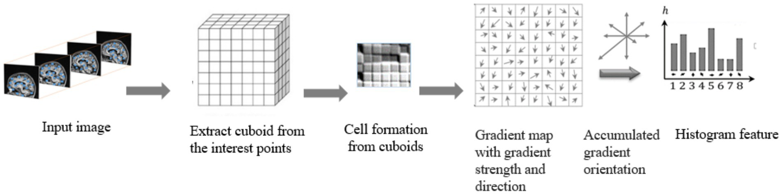 Flowchart illustrating the process from input image to histogram feature. It starts with extracting cuboids from interest points, forming cells, creating a gradient map with strength and direction, accumulating gradient orientation, and generating a histogram feature.
