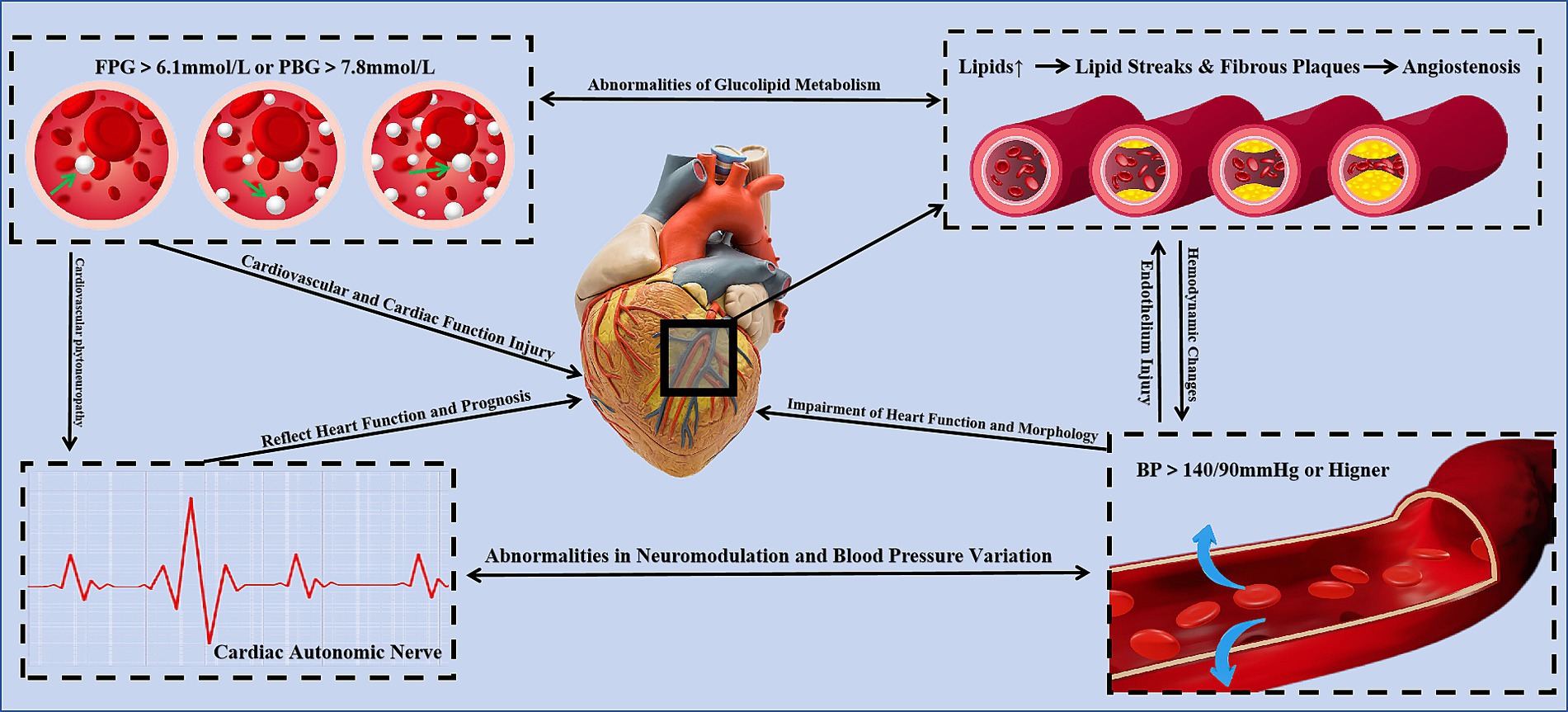Frontiers | The role of tea in managing cardiovascular risk