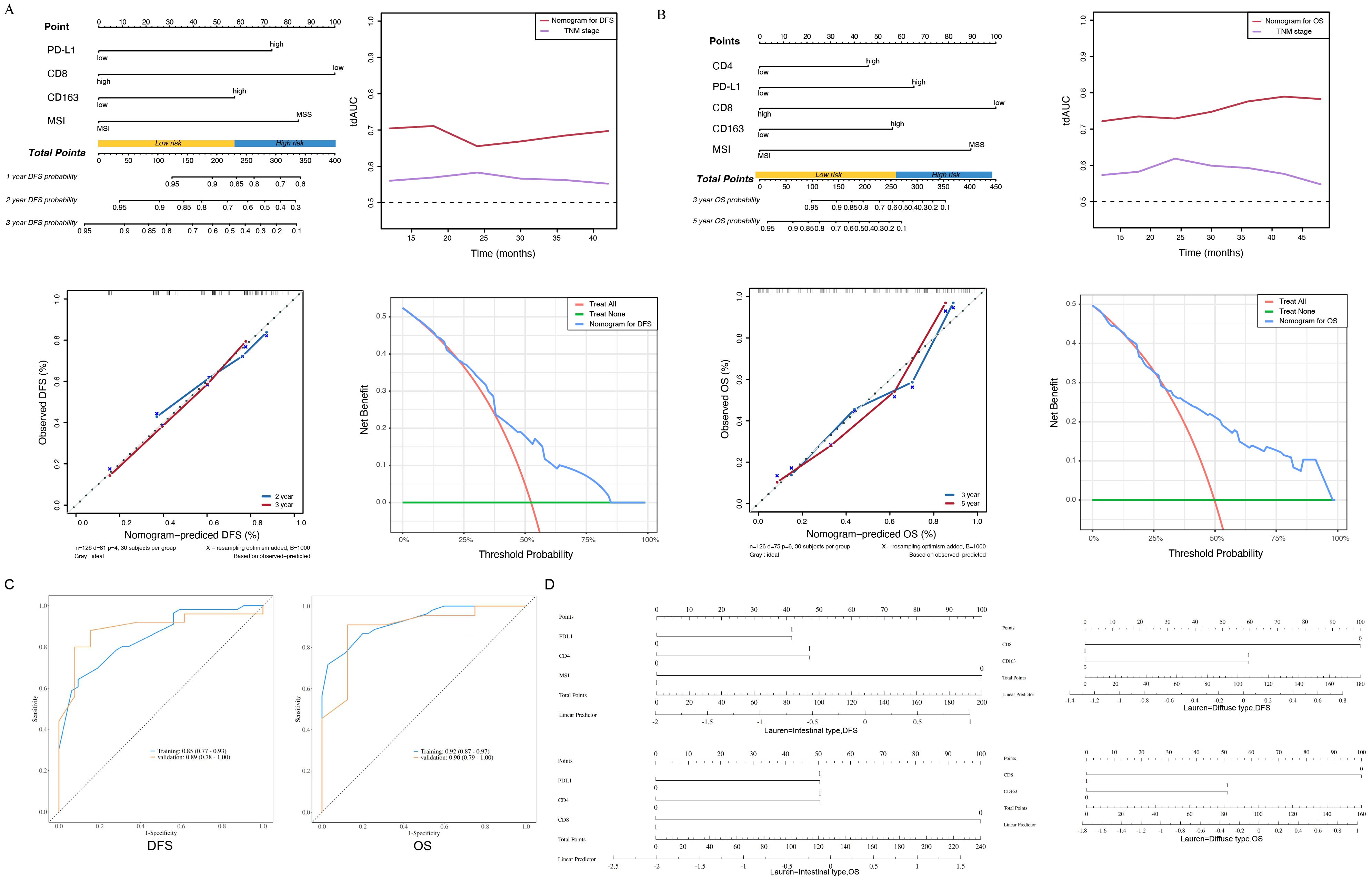 Multiple graphs and diagrams display prognostic models for cancer survival. Section A shows progression-free survival (DFS) with nomogram points and a time-dependent AUC chart. Calibration and decision curve analyses are included. Section B presents overall survival (OS) predictions similarly. Section C has ROC curves comparing DFS and OS in training and validation datasets. Section D features nomograms for intestinal and diffuse types of cancer, illustrating points for predictors like PD-L1, CD8, and MSI.