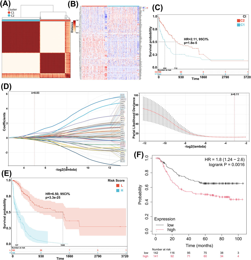 Cluster analysis and risk score data visualizations depict gene expression and survival probabilities. (A) Heatmap showing clustering of samples into two groups (C1, C2), with a dendrogram above.(B) Heatmap displaying gene expression levels.(C) Kaplan-Meier survival curve comparing C1 and C2 with hazard ratio.(D) LASSO coefficient plots and deviance graphs for variable selection.(E) Kaplan-Meier curve for risk scores, highlighting high (H) and low (L) risk groups.(F) Kaplan-Meier curve for expression levels with hazard ratio and log-rank test p-value.