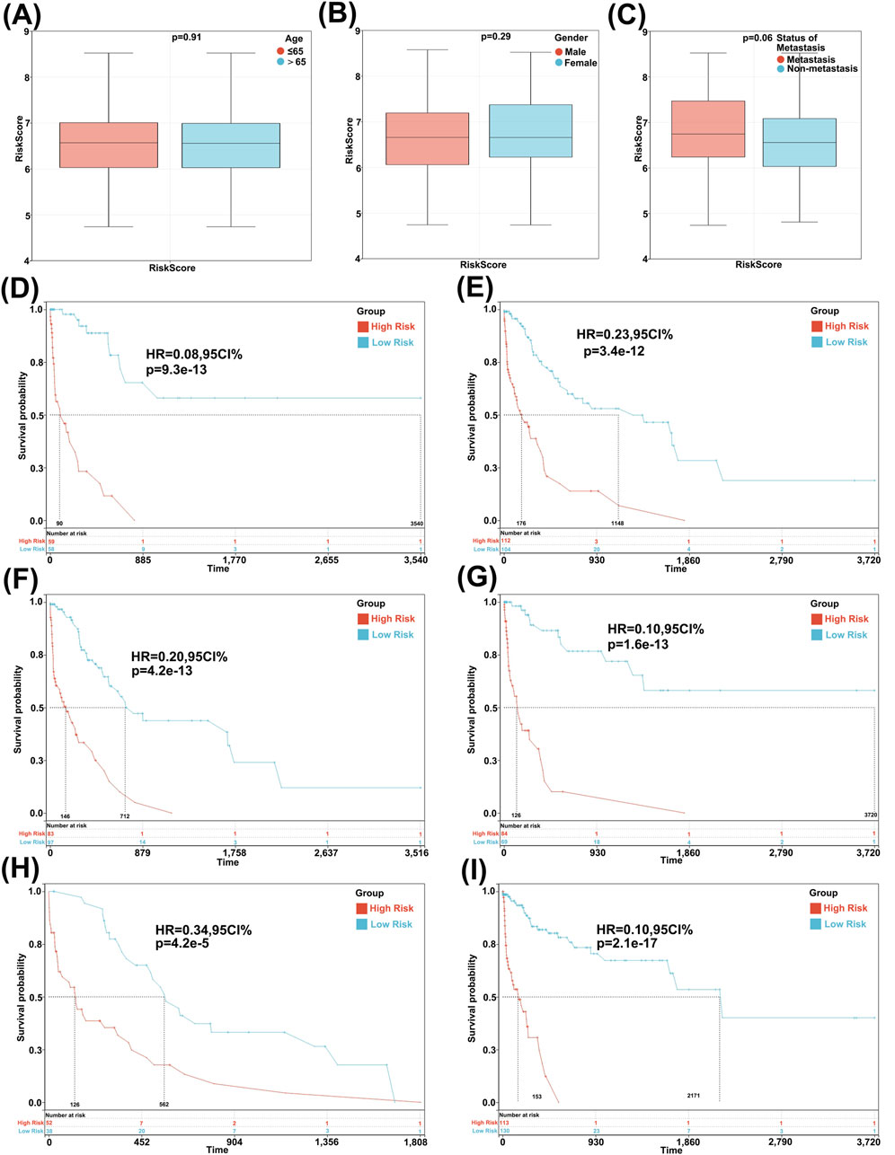 Box plots (A-C) display Risk Scores based on age, gender, and metastasis status with nonsignificant differences. Kaplan-Meier survival curves (D-I) show survival probabilities, comparing high-risk and low-risk groups, with hazard ratios indicating significant survival differences in each panel.